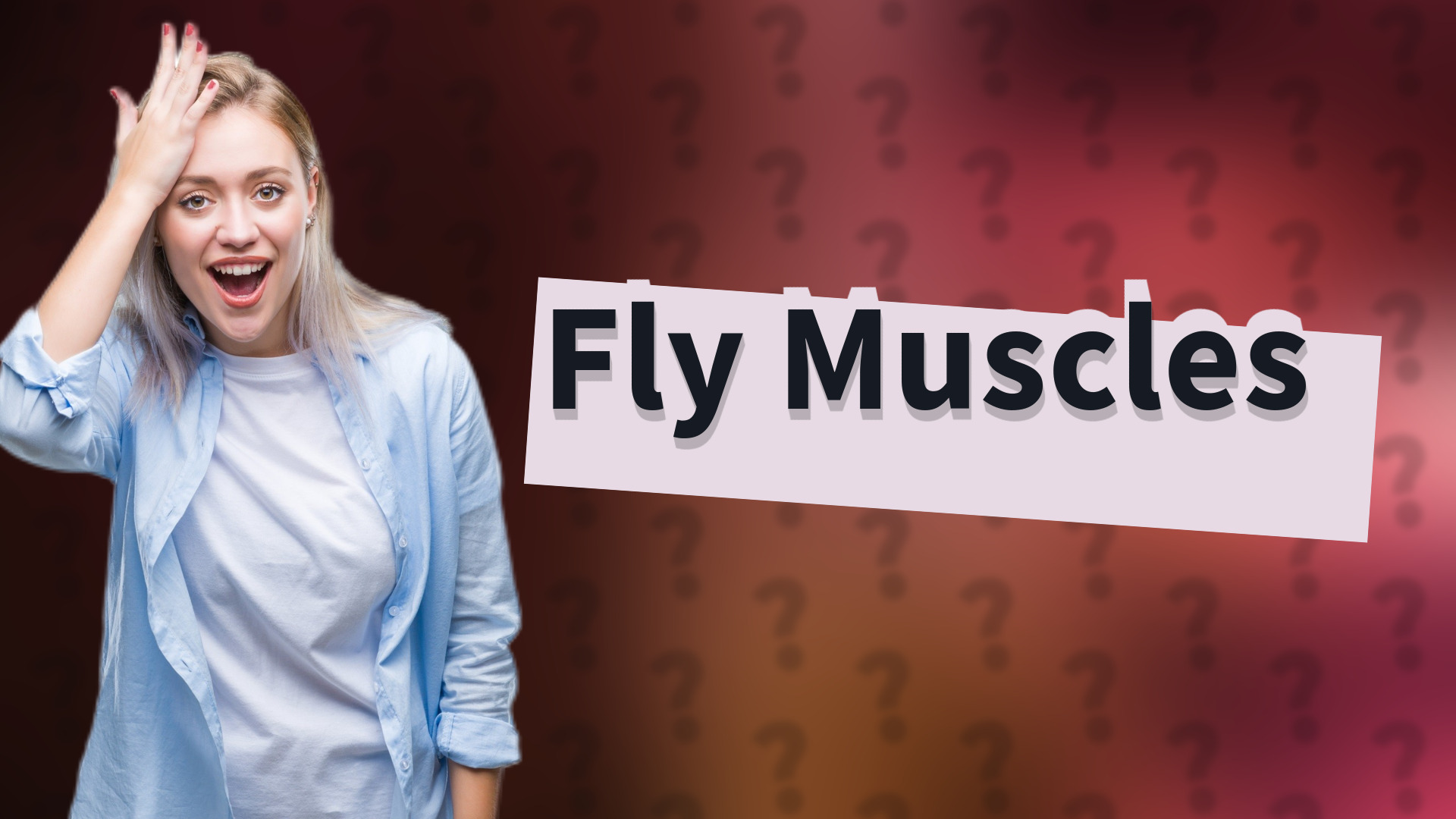 Fly Muscles