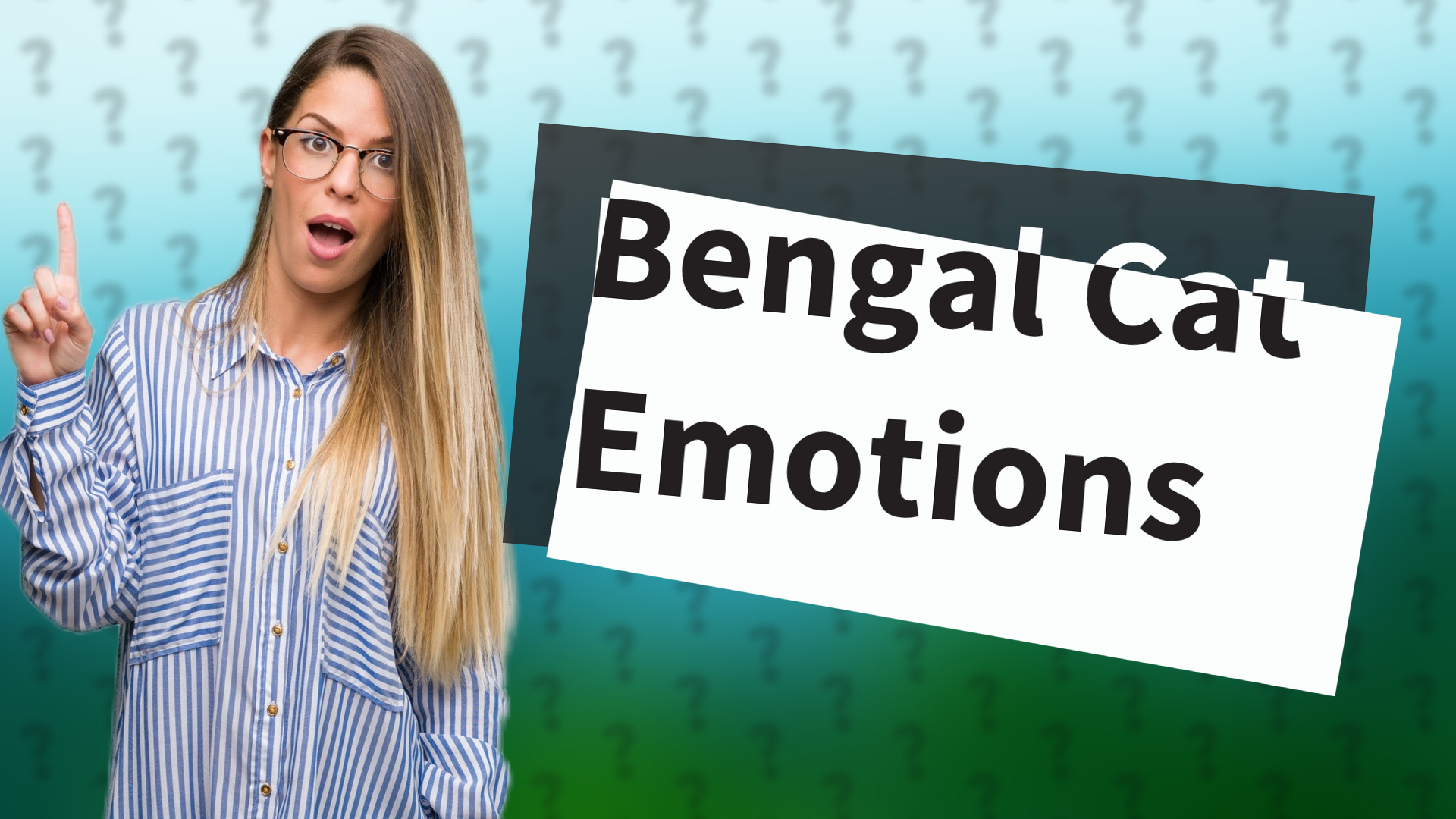Bengal Cat Emotions