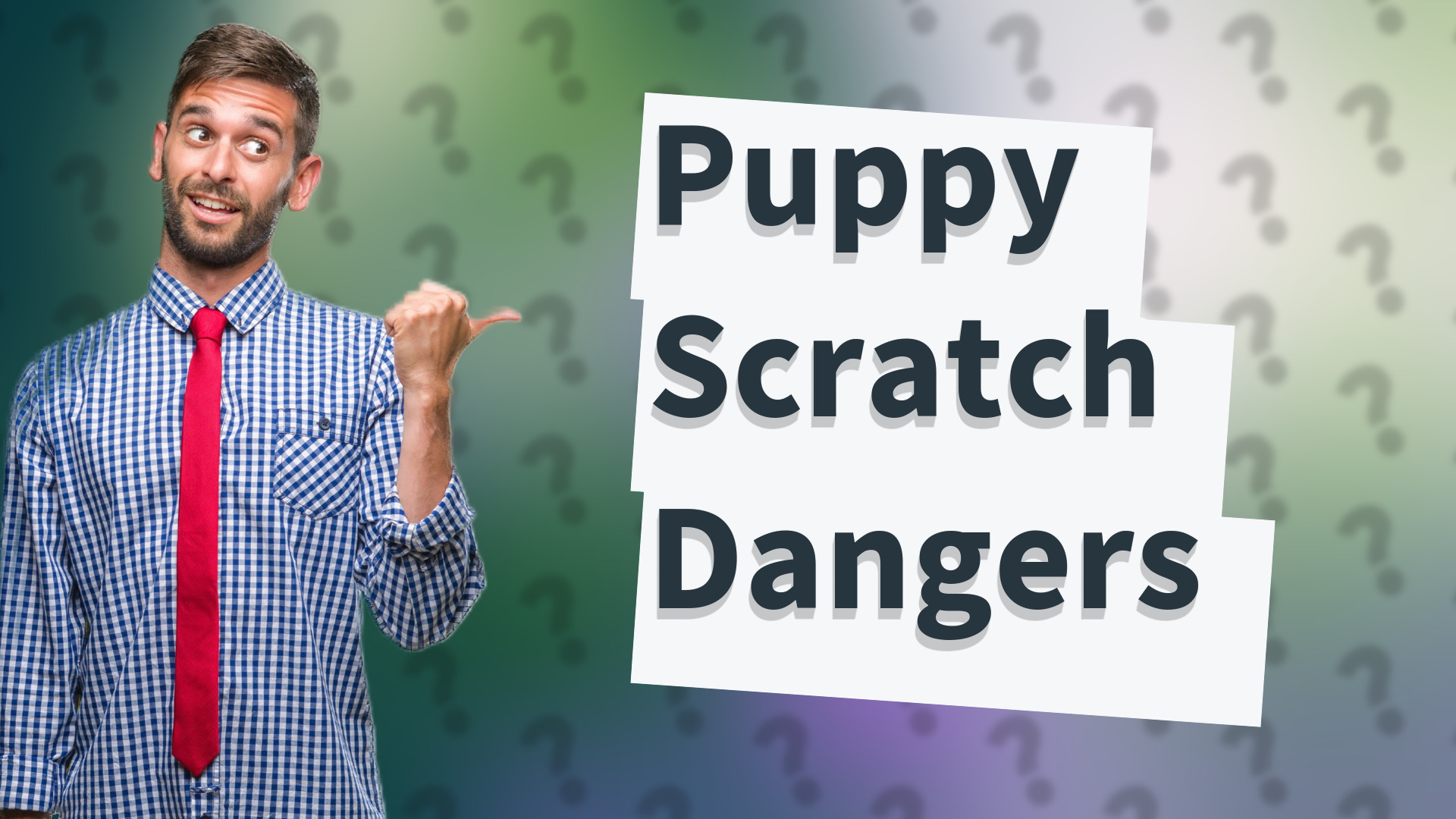 Puppy Scratch Dangers