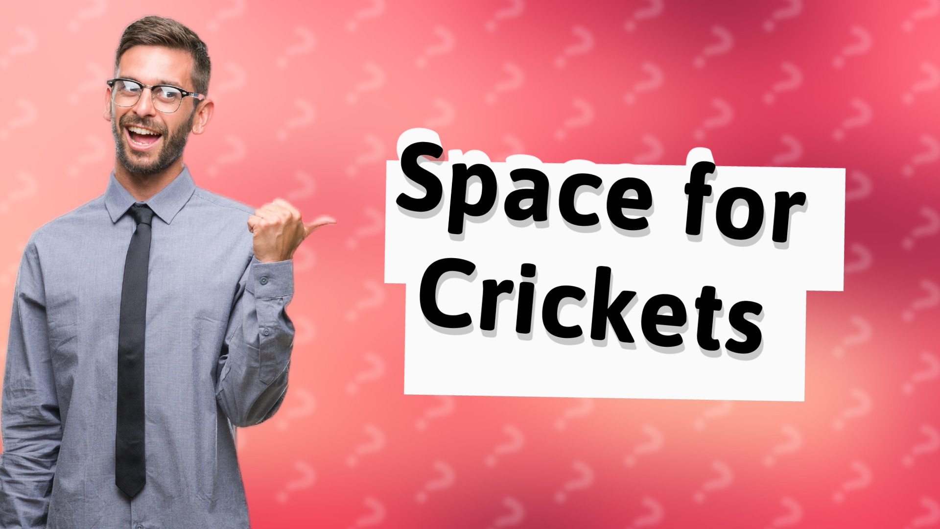 Space for Crickets