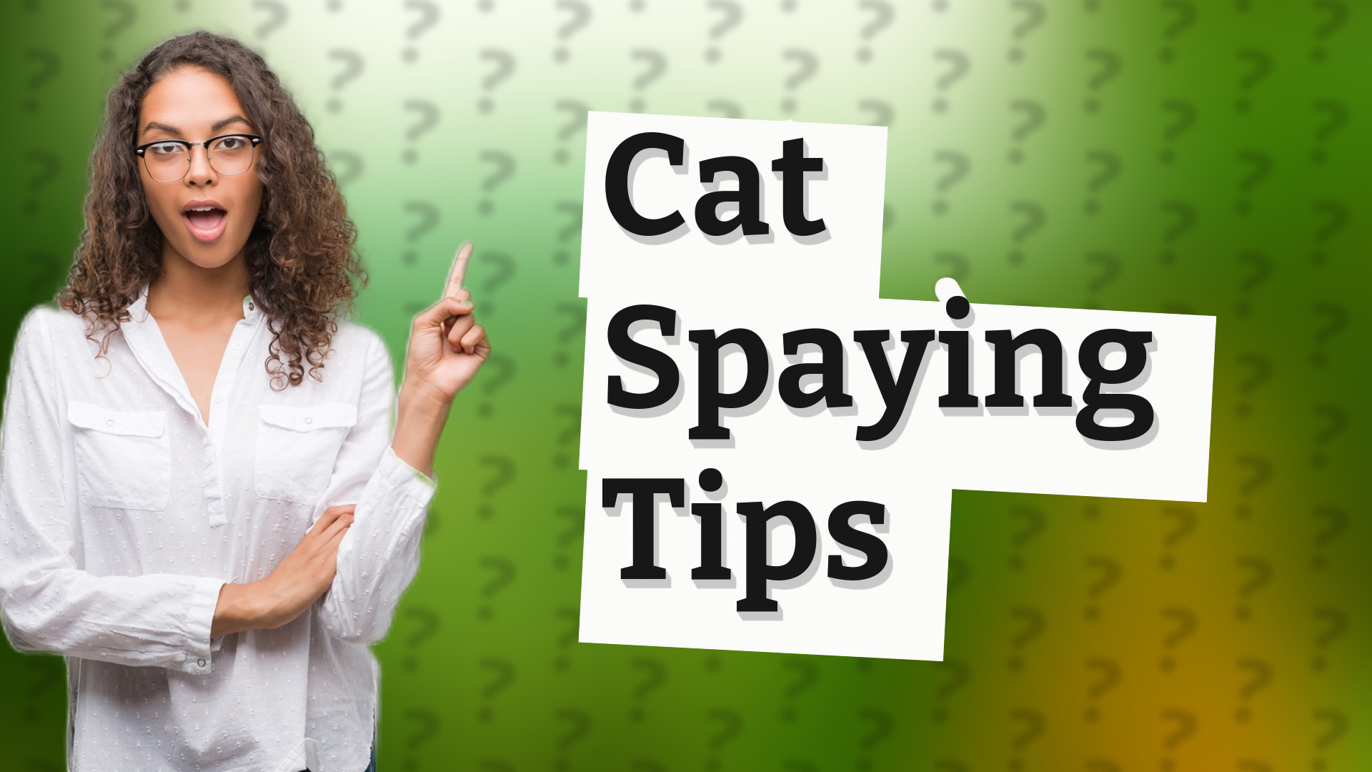 Cat Spaying Tips