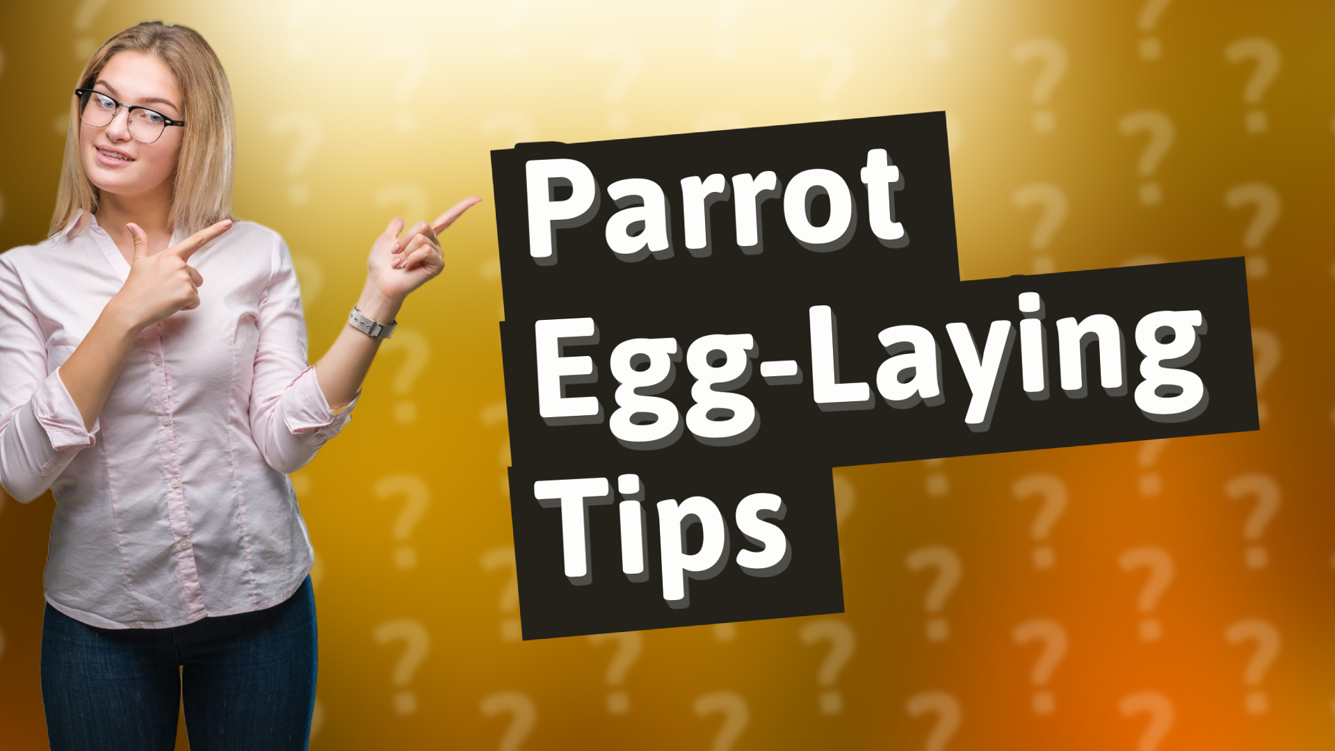 Parrot Egg-Laying Tips