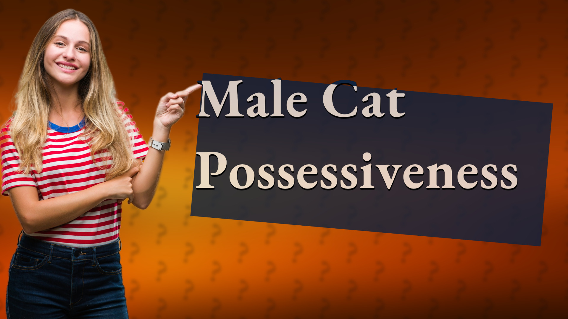 Male Cat Possessiveness