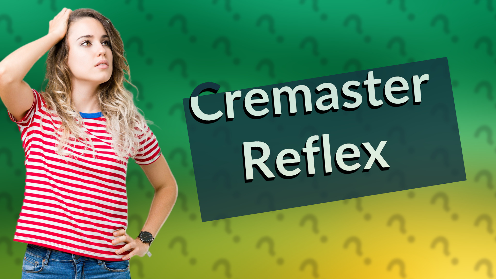 Cremaster Reflex