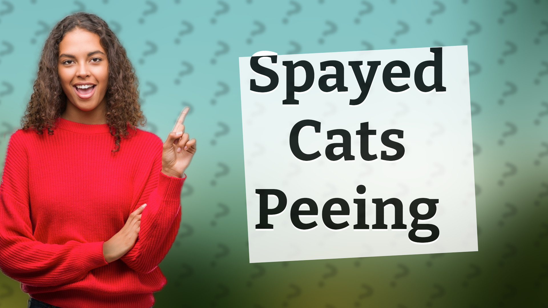 Spayed Cats Peeing