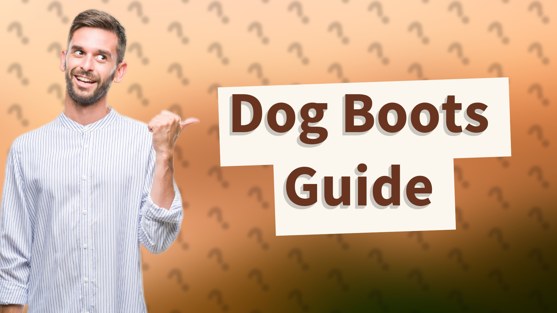 Dog Boots Guide