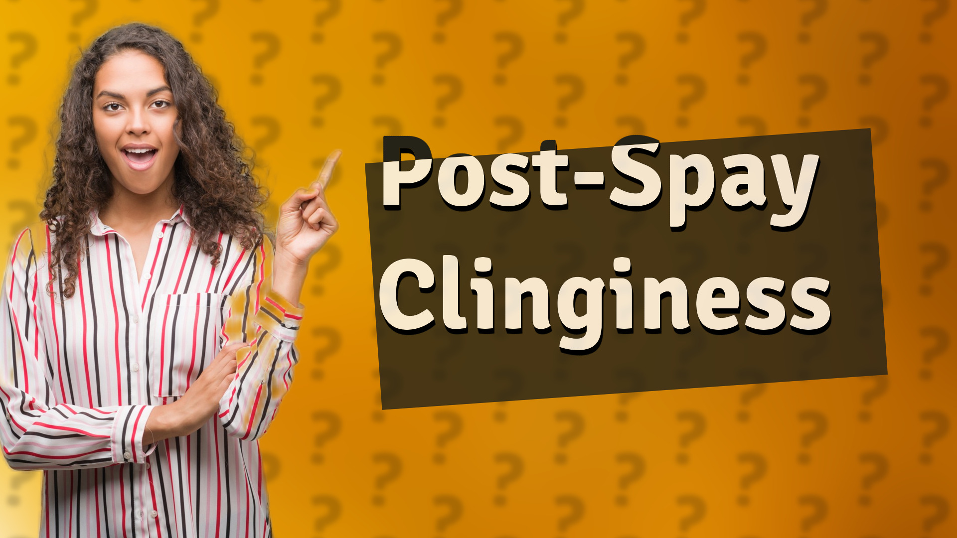 Post-Spay Clinginess