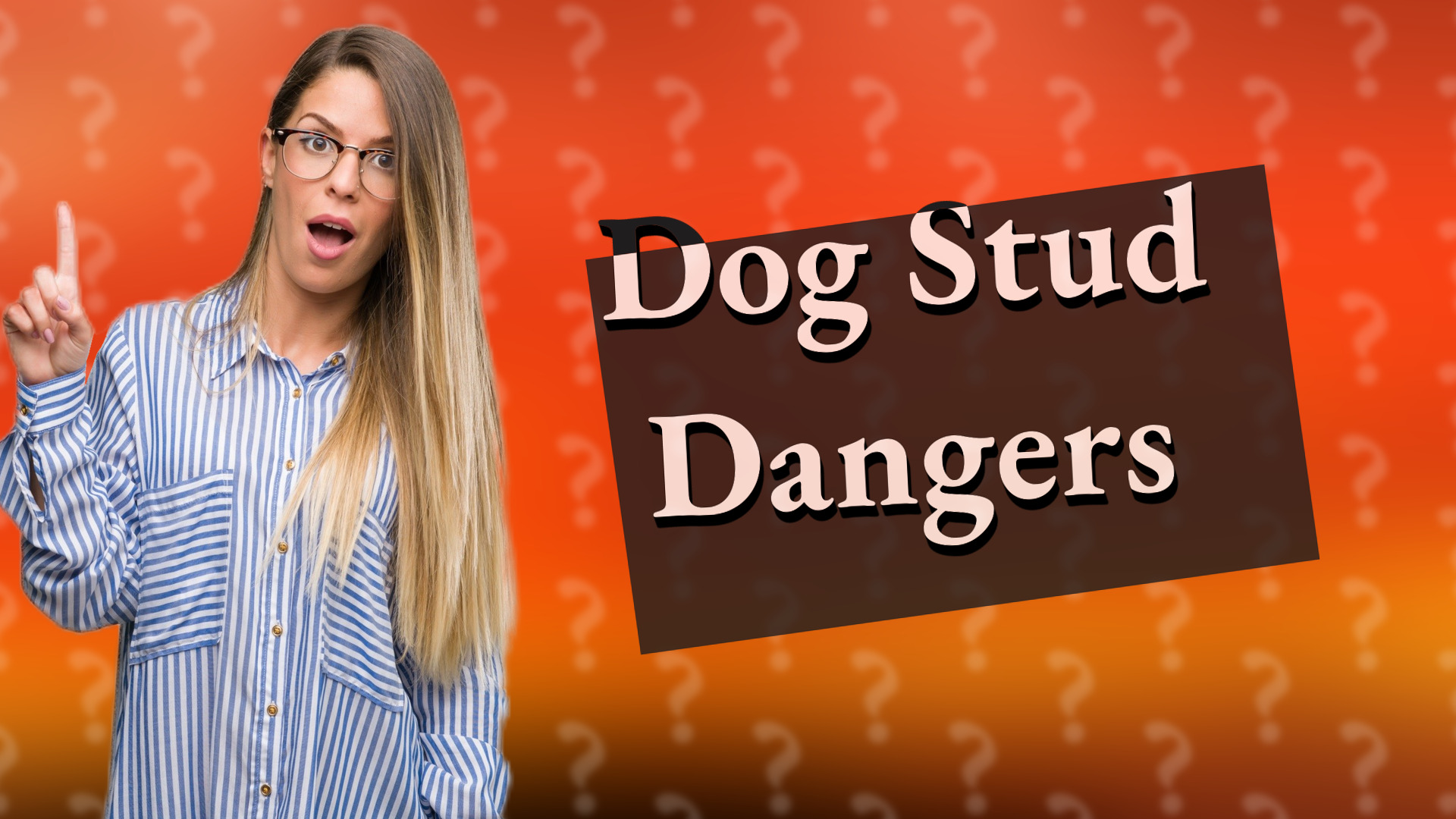 Dog Stud Dangers