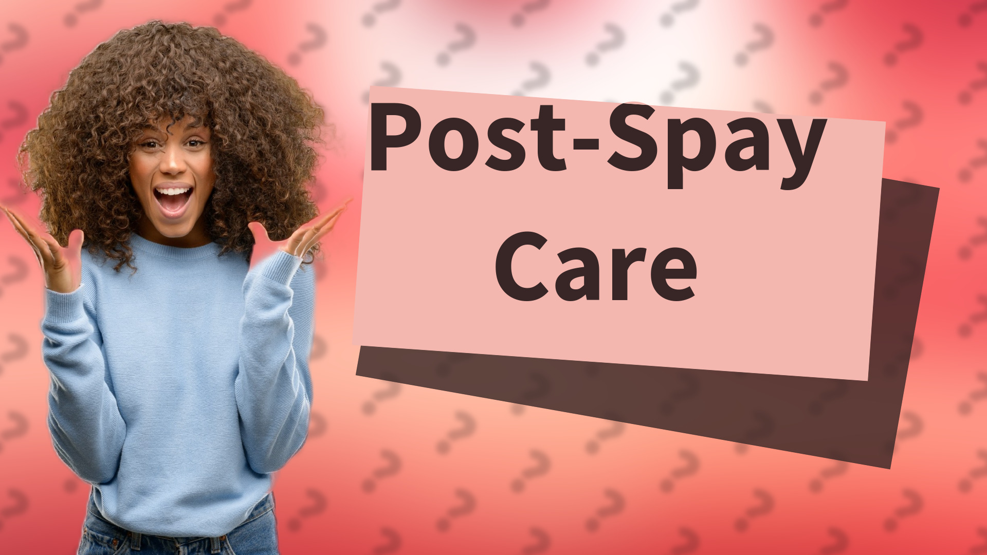 Post-Spay Care