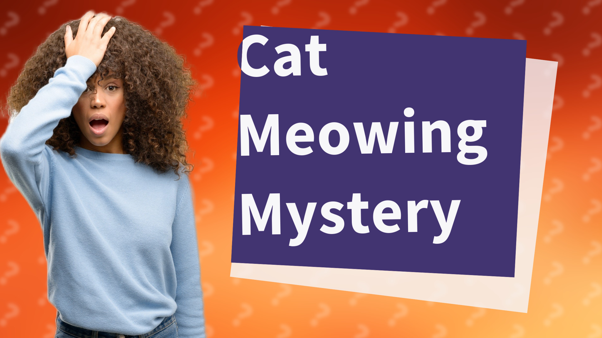 Cat Meowing Mystery