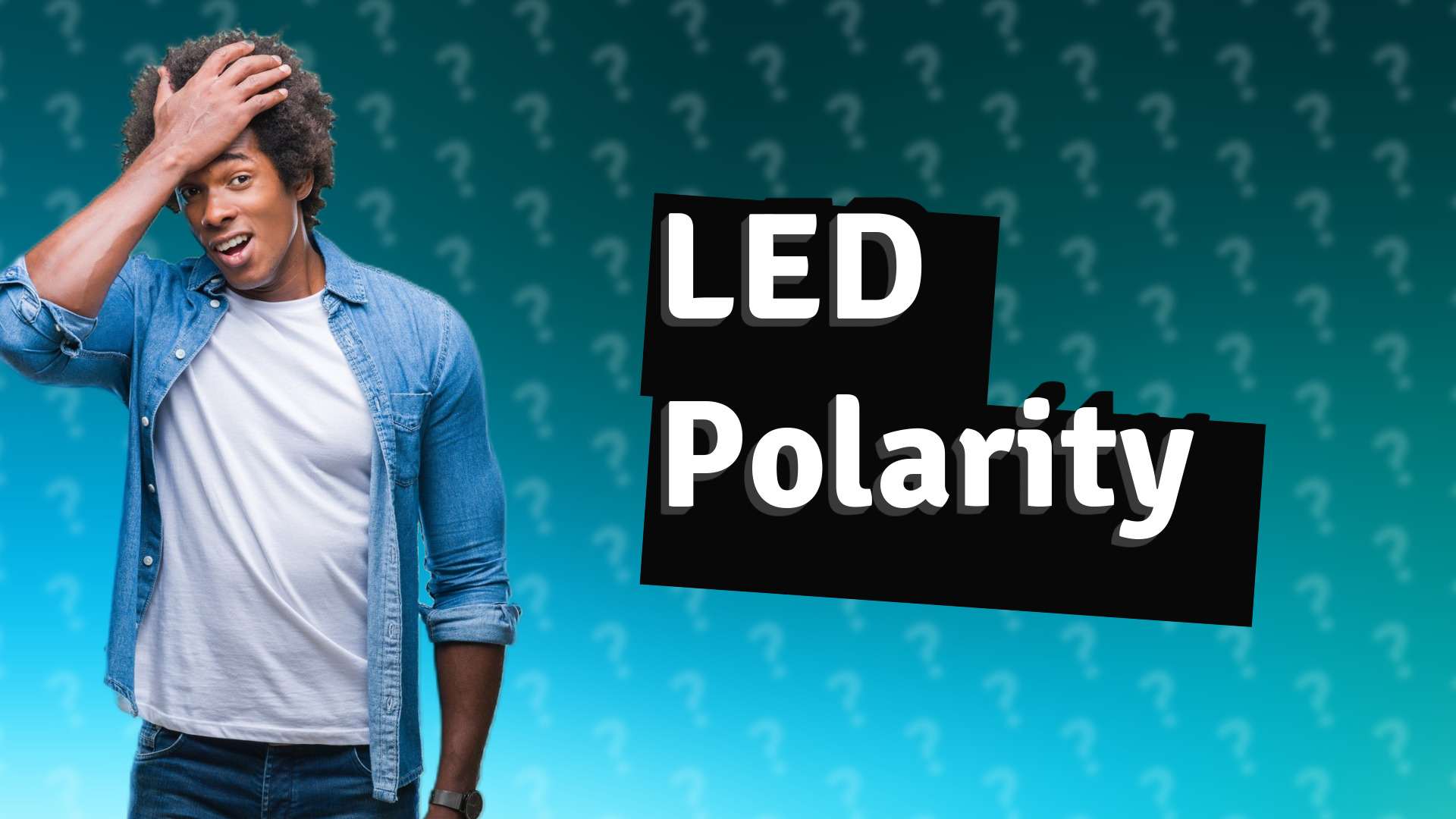 LED Polarity