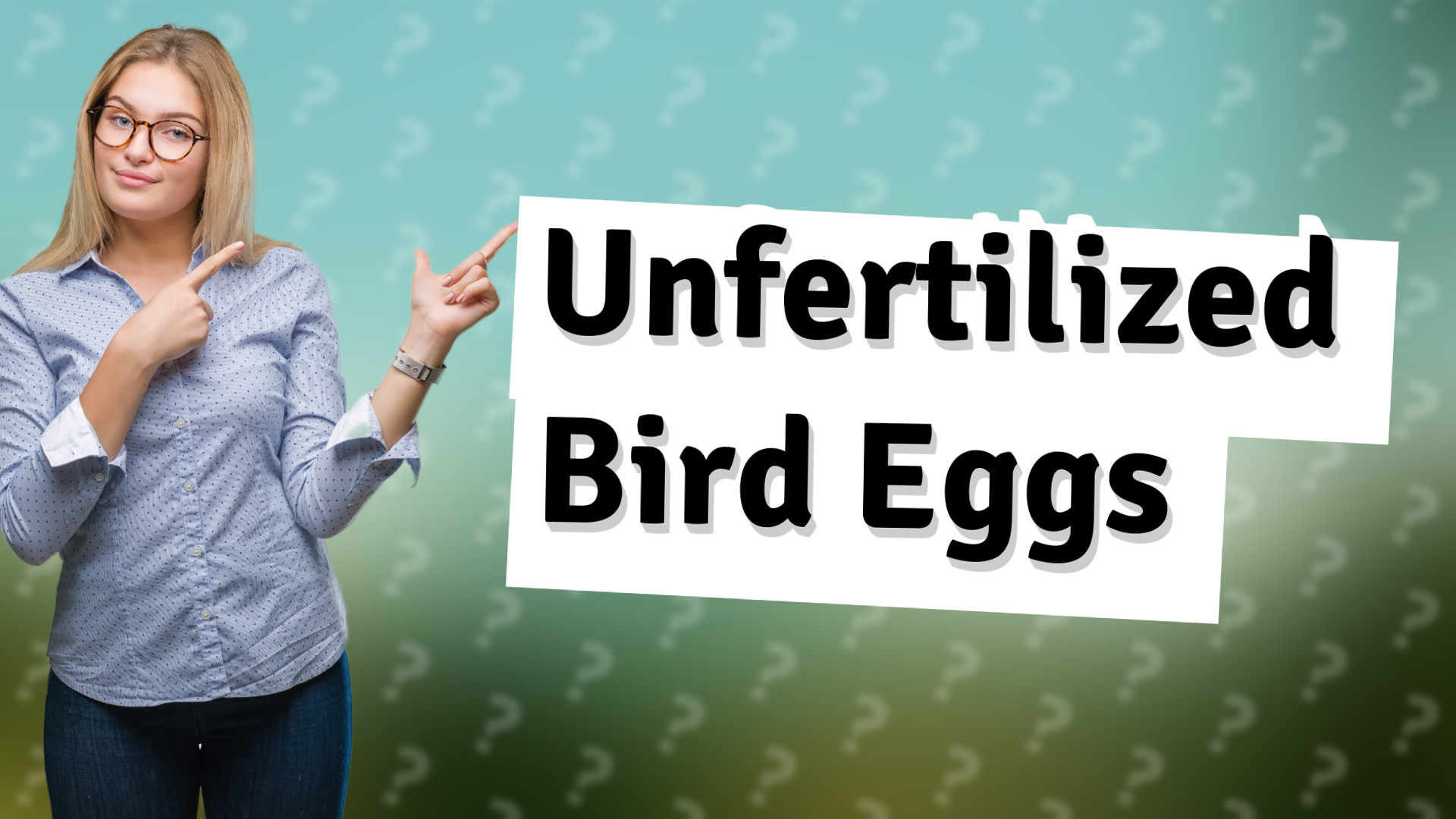 Unfertilized Bird Eggs