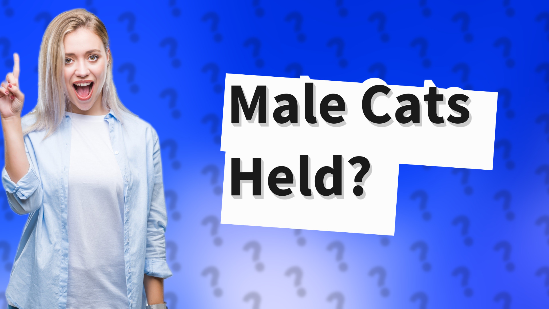 Male Cats Held?