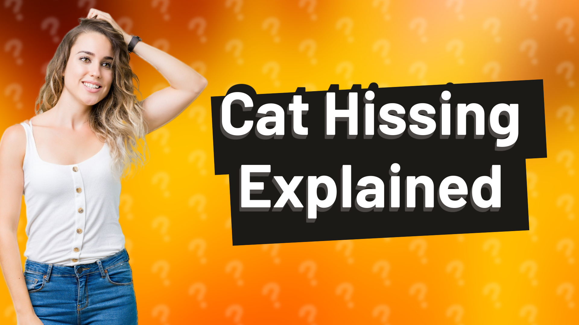 Cat Hissing Explained