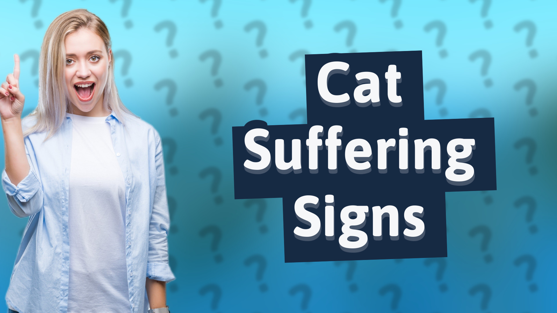 Cat Suffering Signs