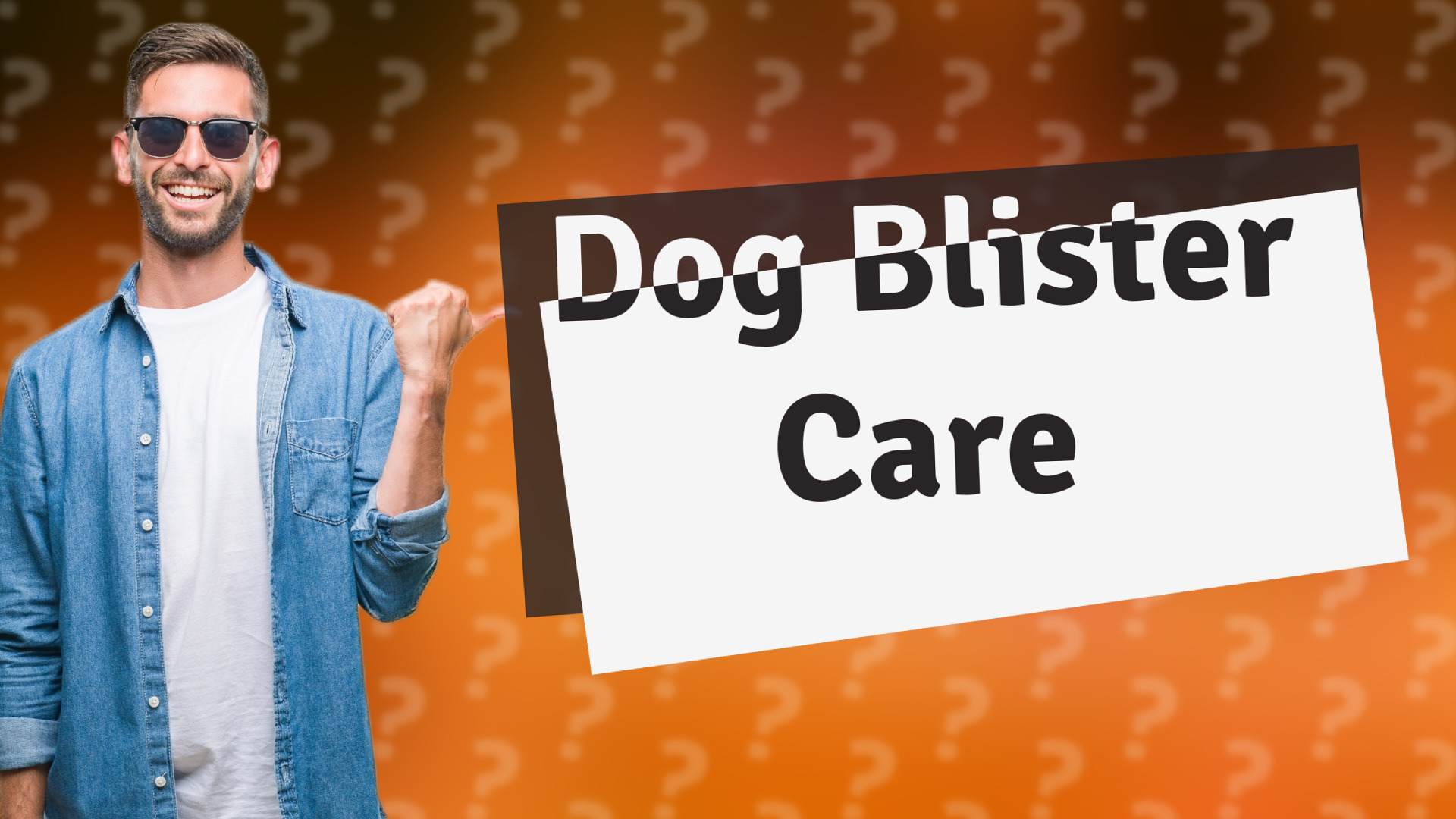 Dog Blister Care