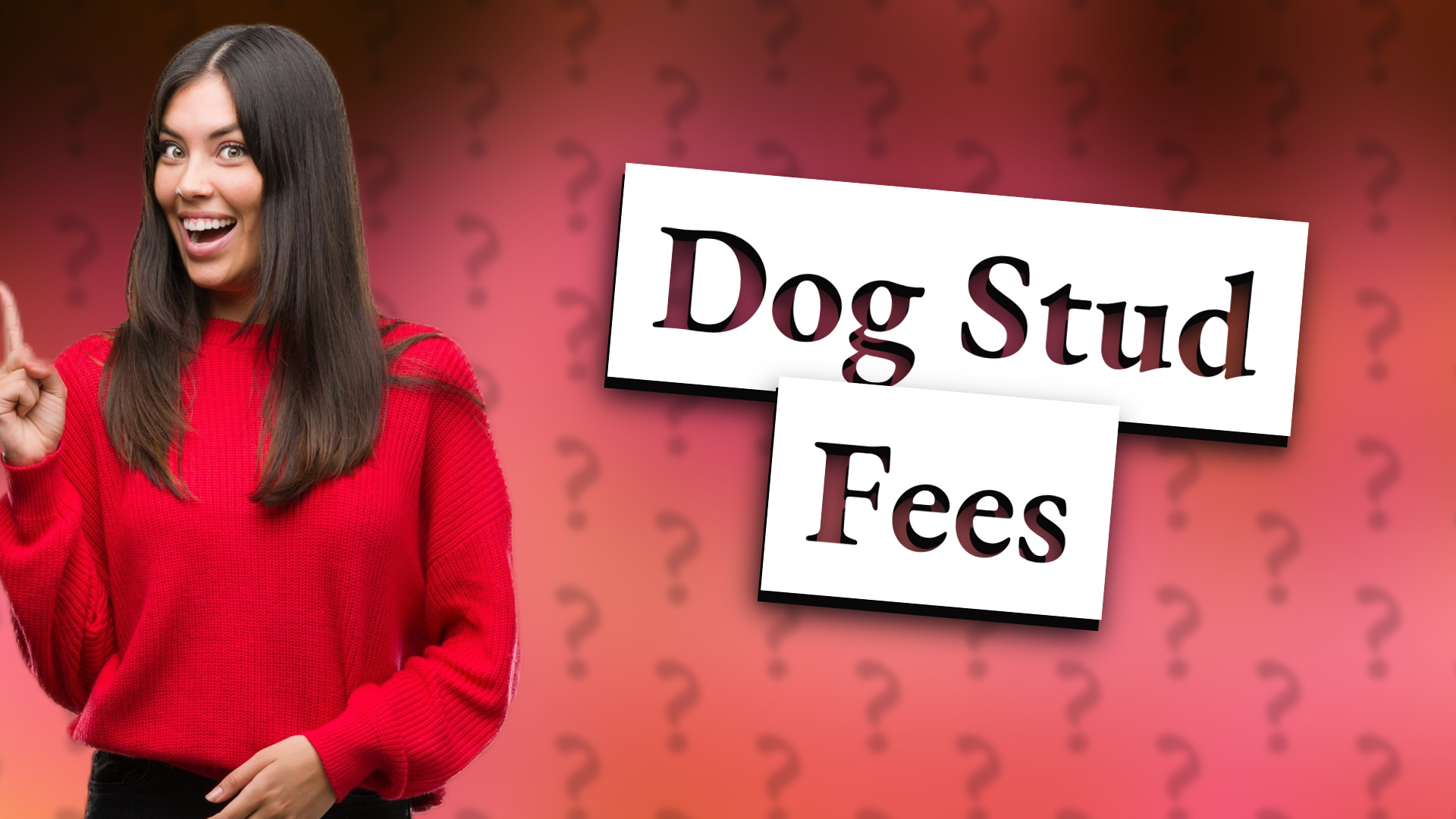 Dog Stud Fees