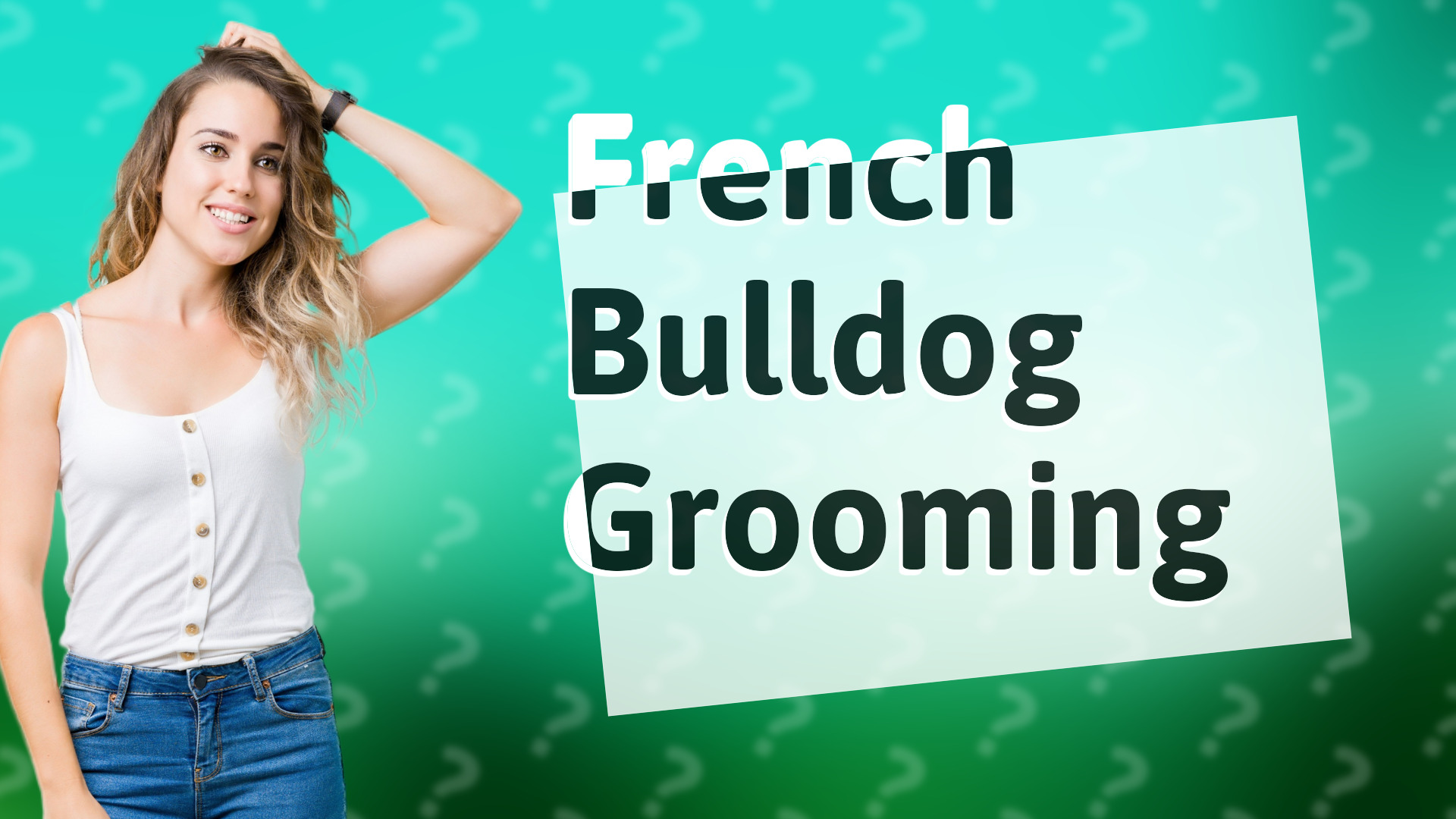 French Bulldog Grooming