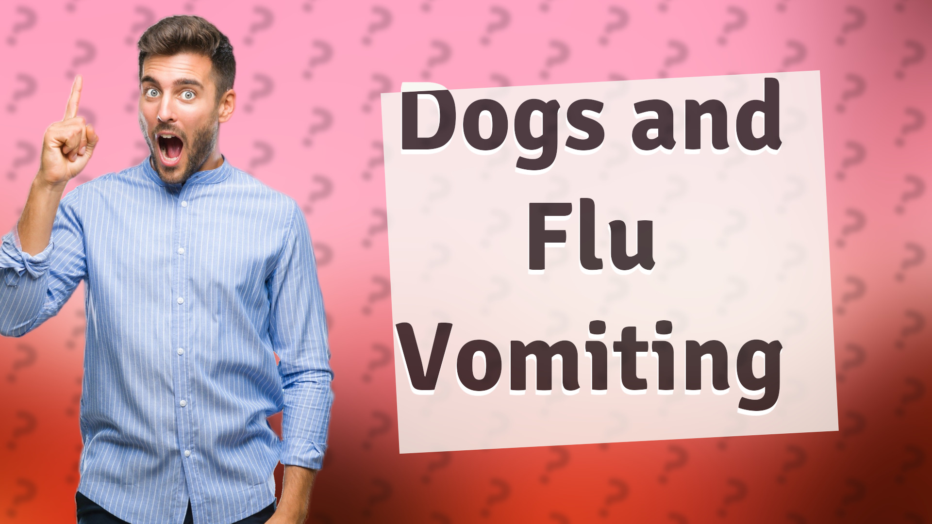 Dogs and Flu Vomiting