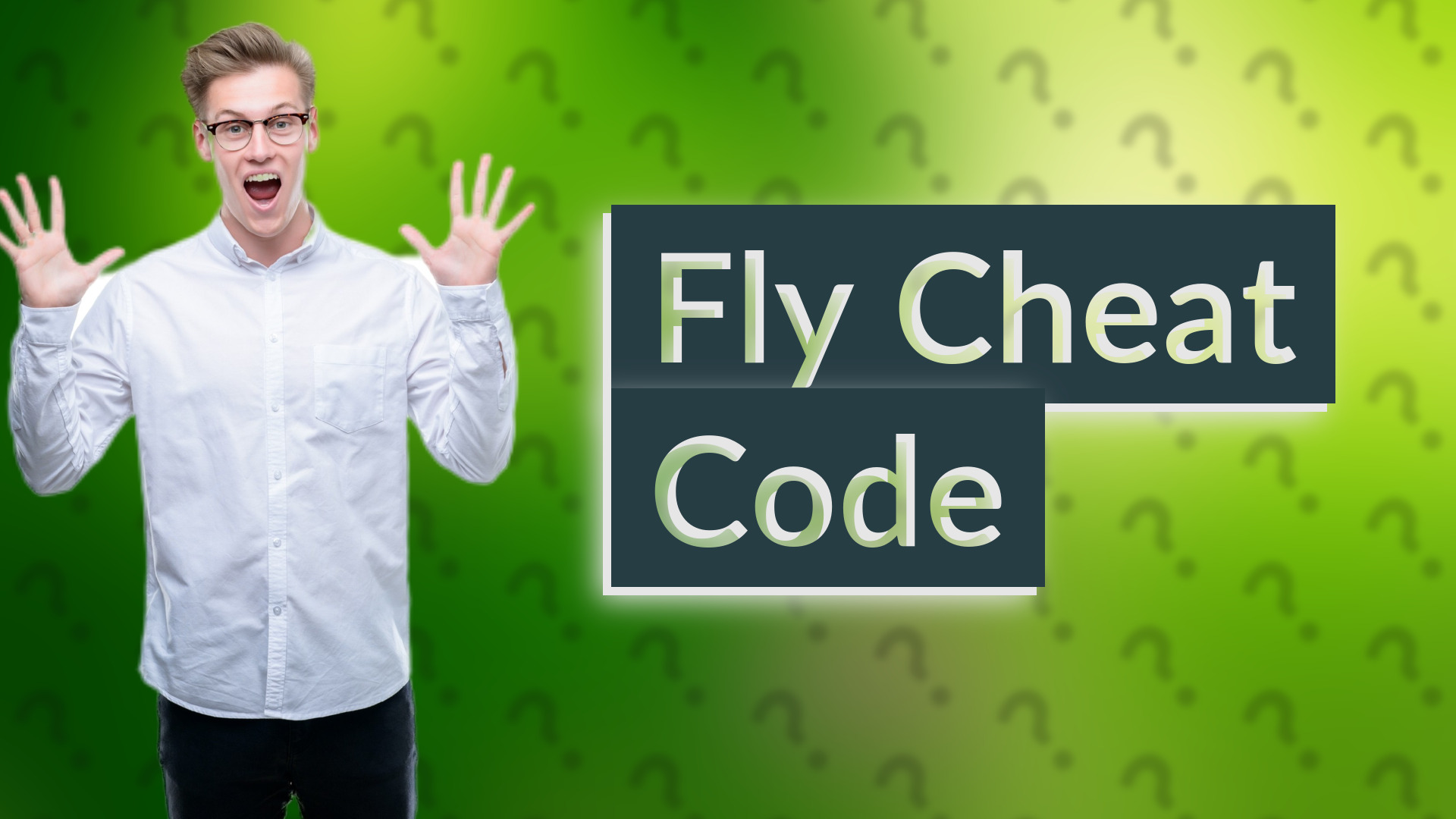 Fly Cheat Code