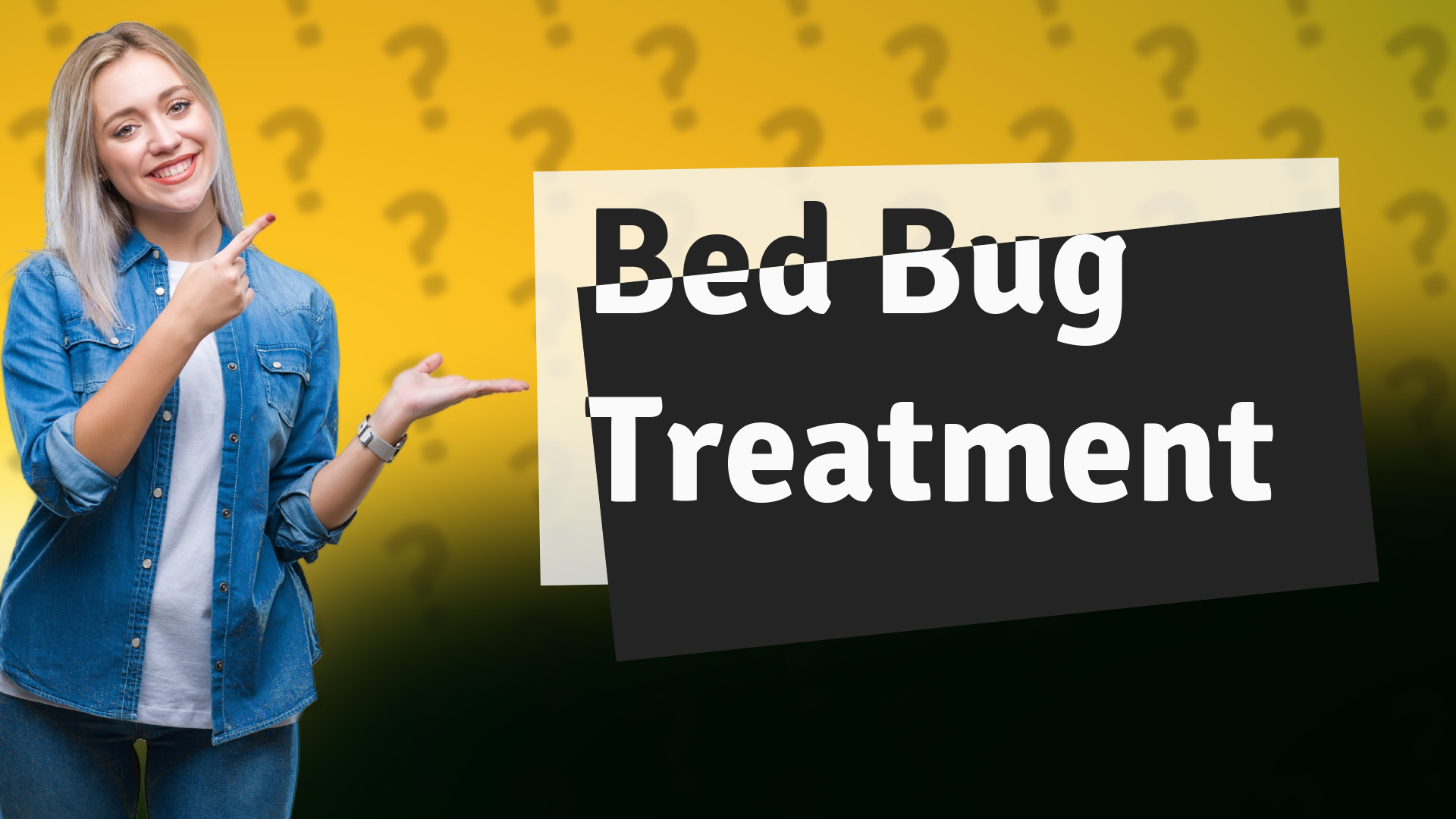 Bed Bug Treatment