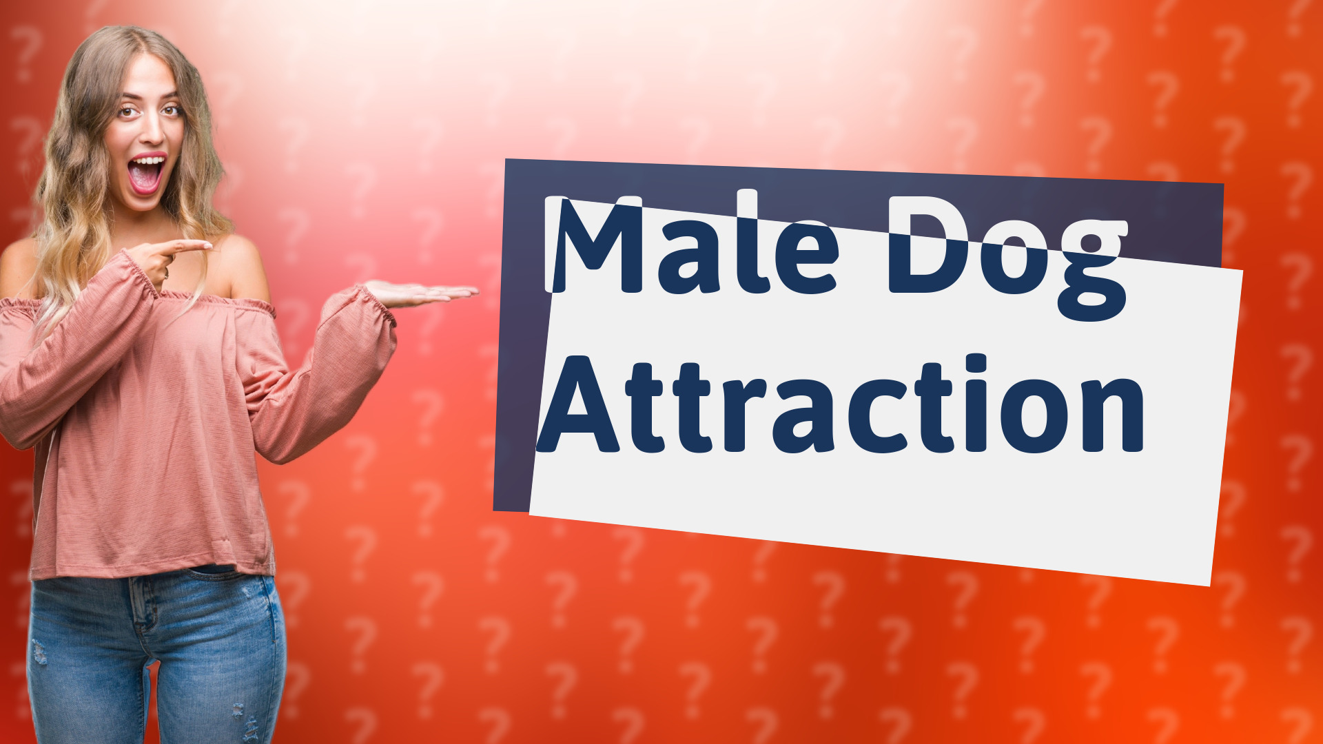 Male Dog Attraction