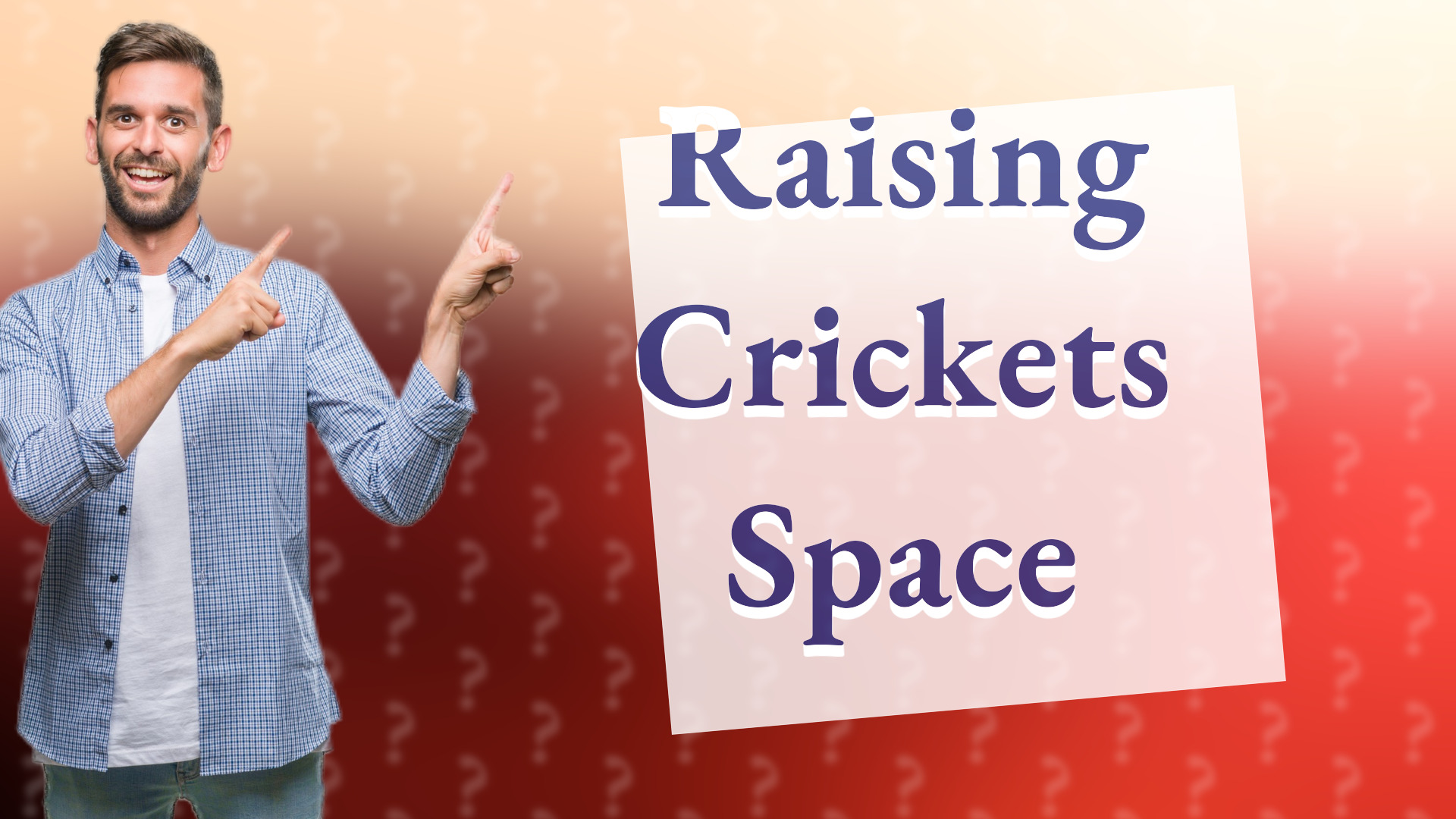 Raising Crickets Space