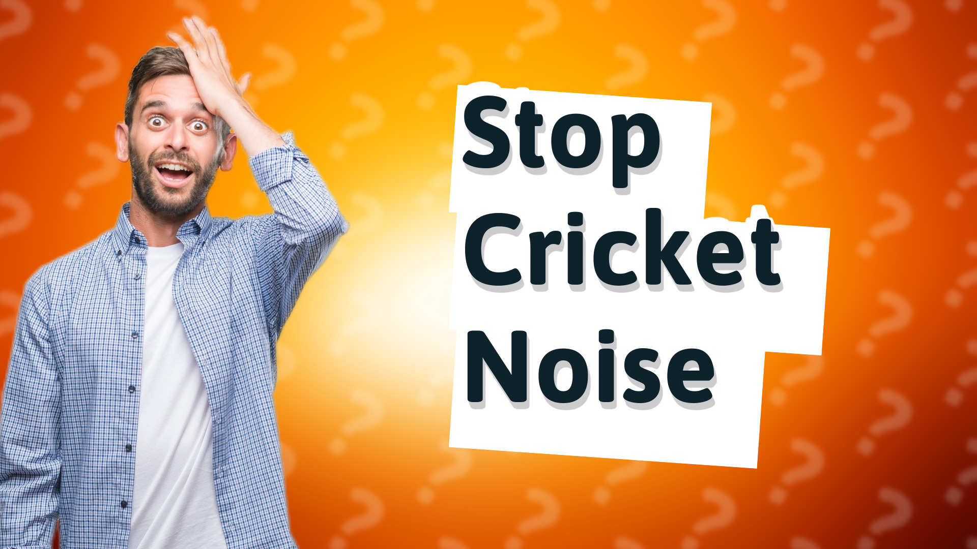 Stop Cricket Noise