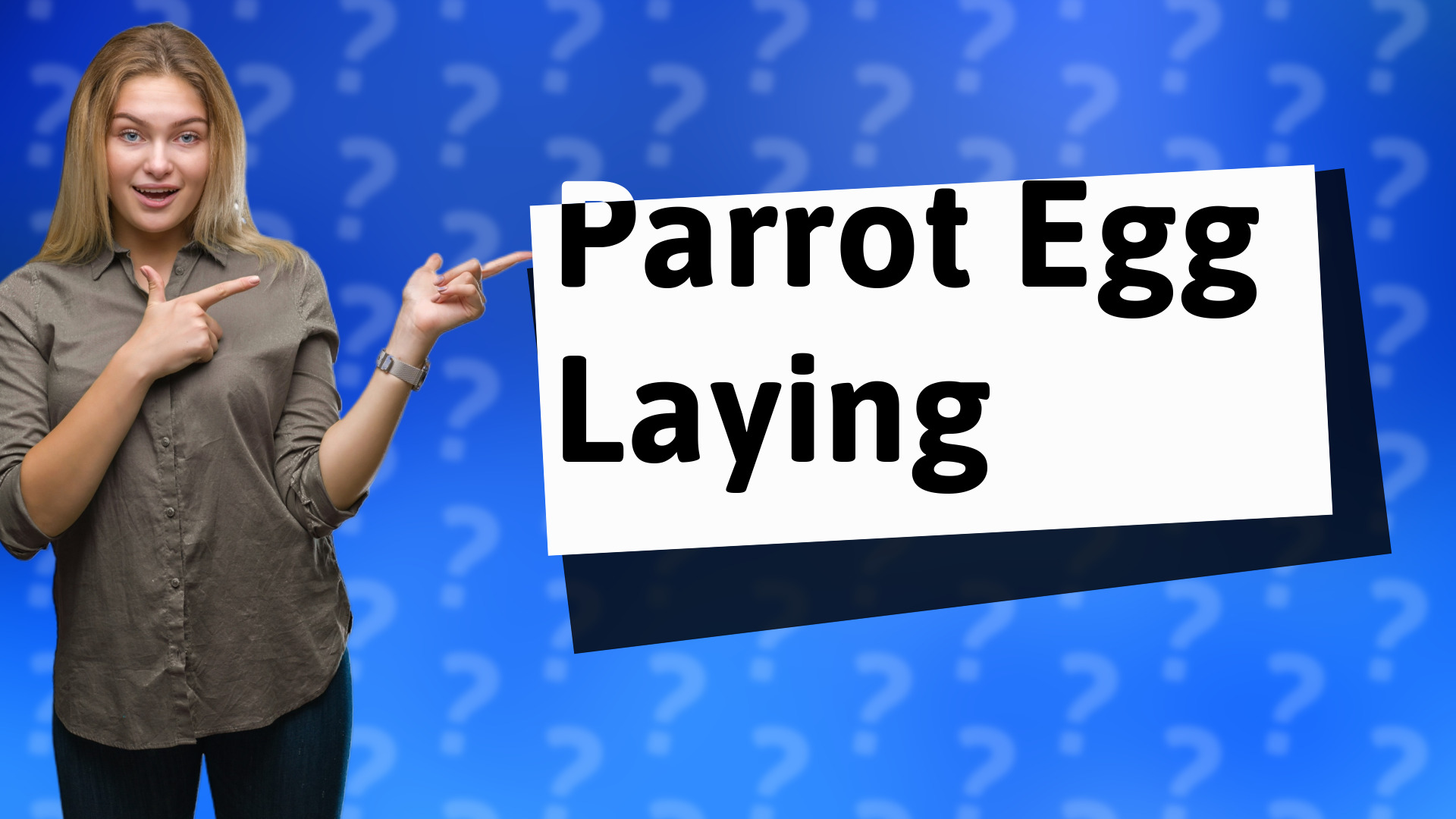Parrot Egg Laying