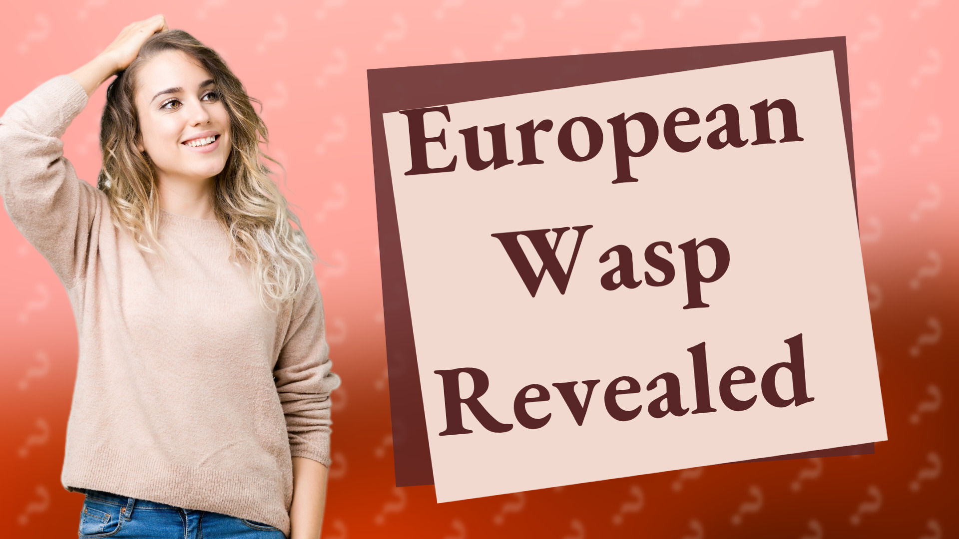 European Wasp Revealed