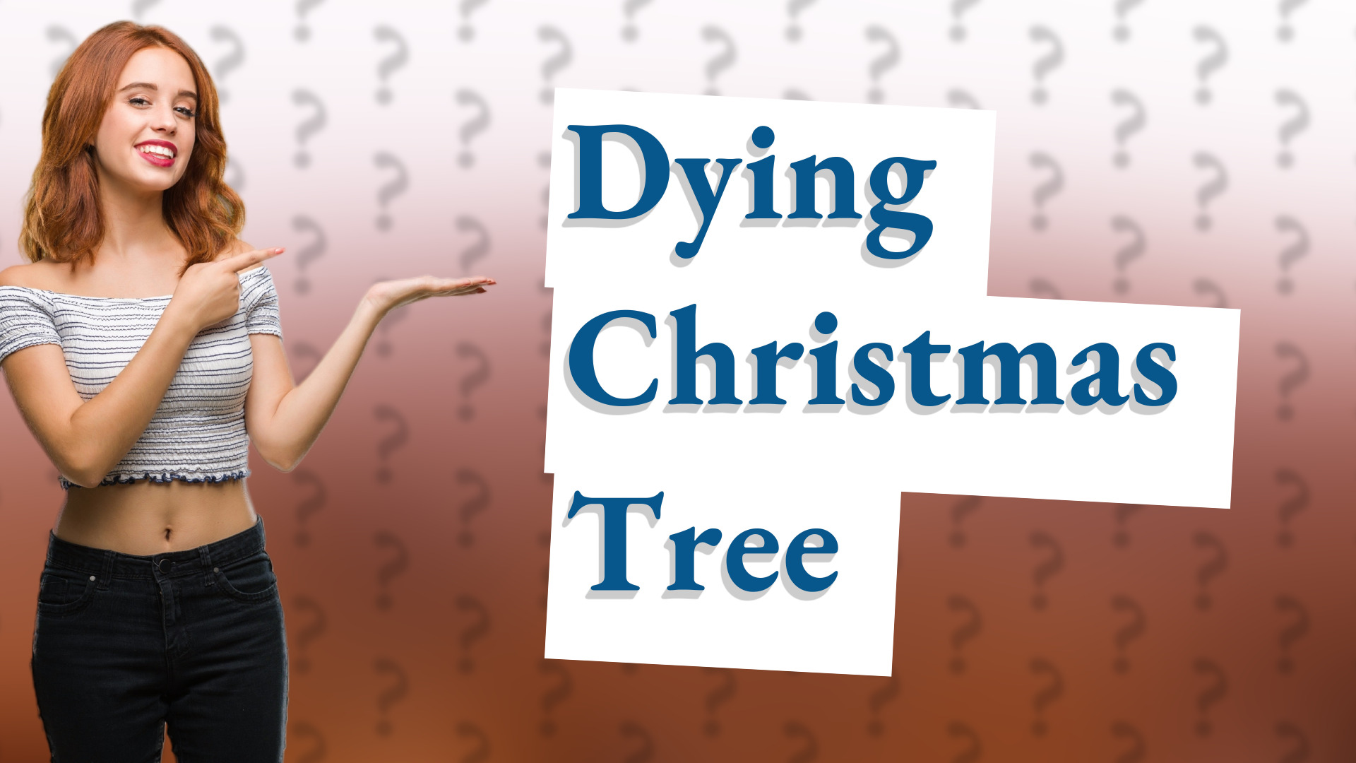 Dying Christmas Tree