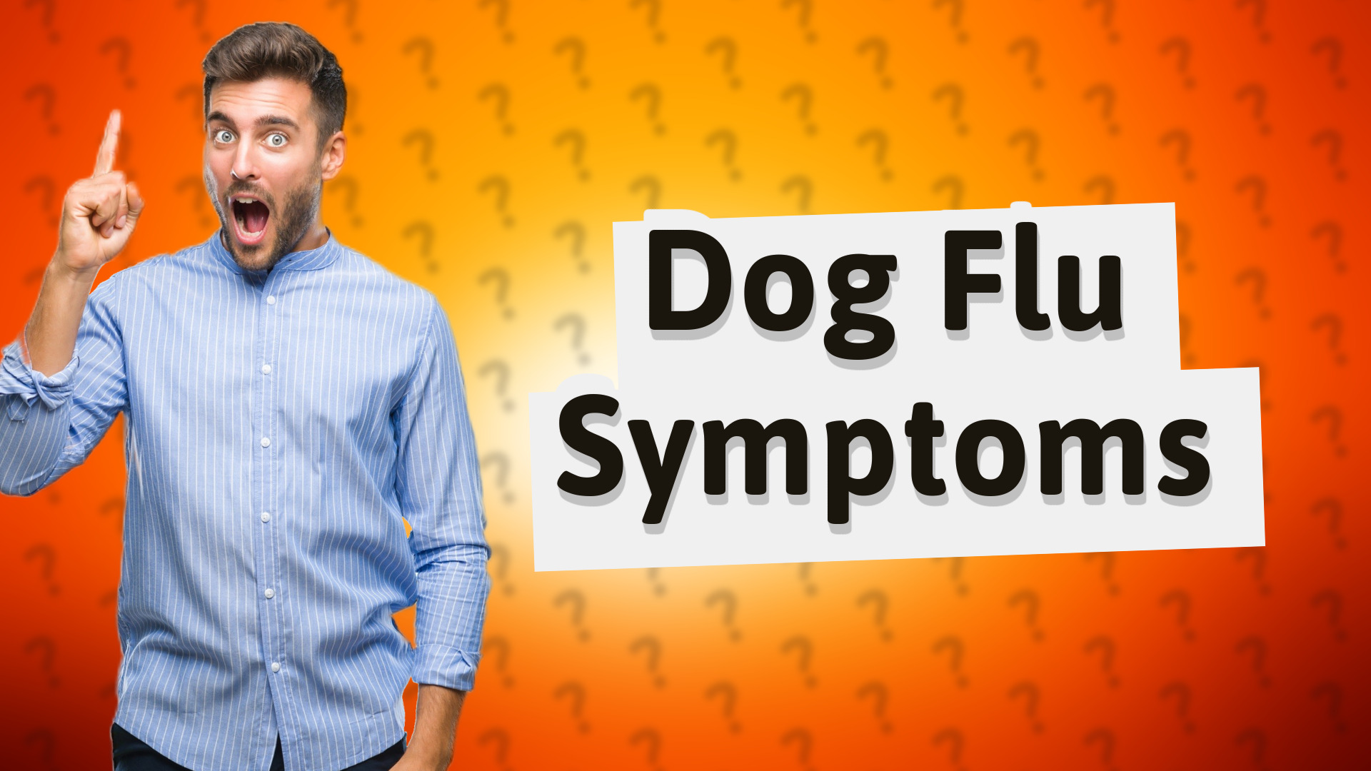 Dog Flu Symptoms