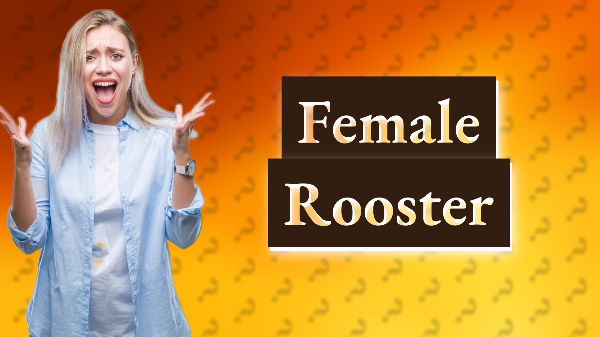 Female Rooster