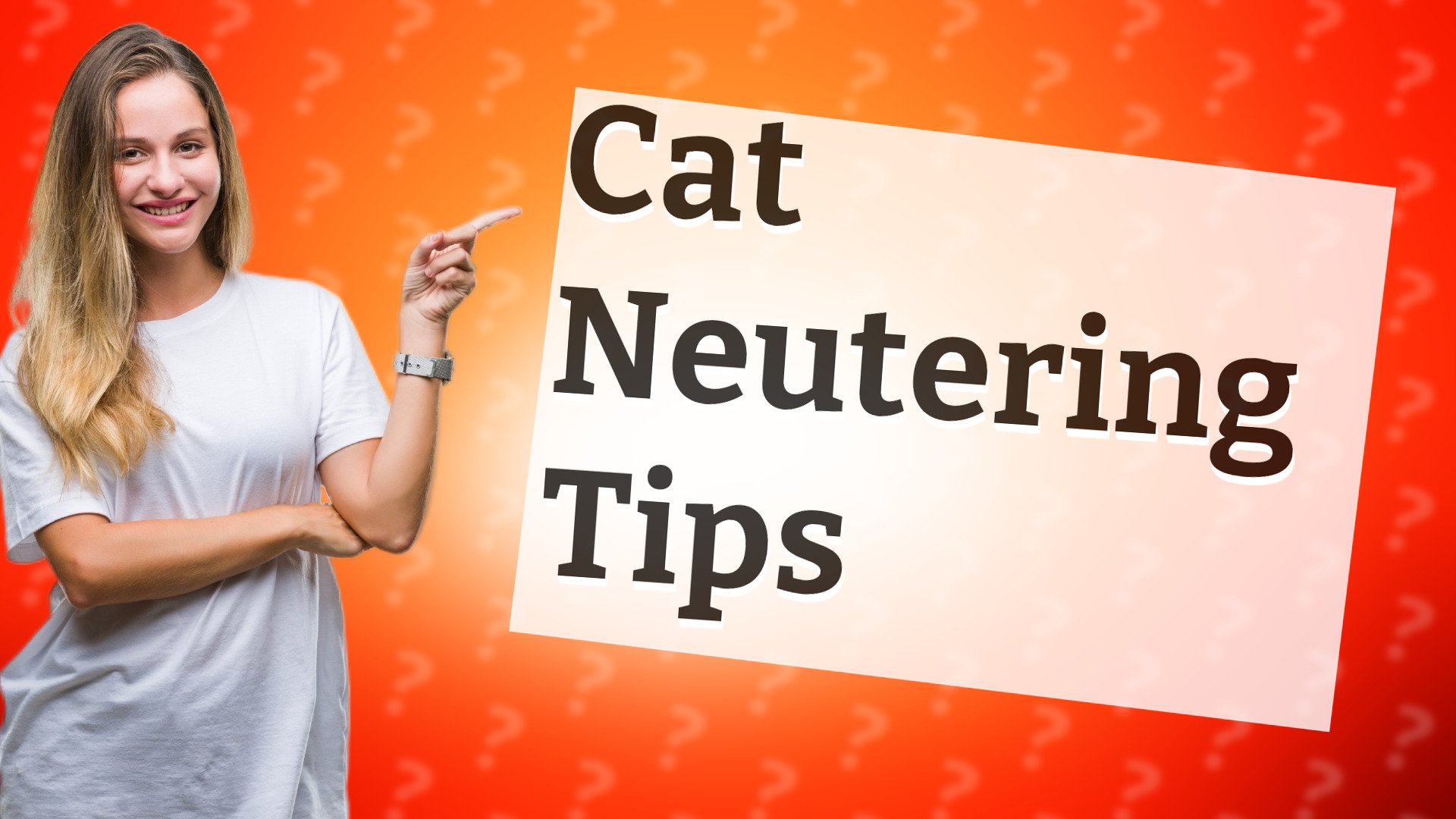 Cat Neutering Tips