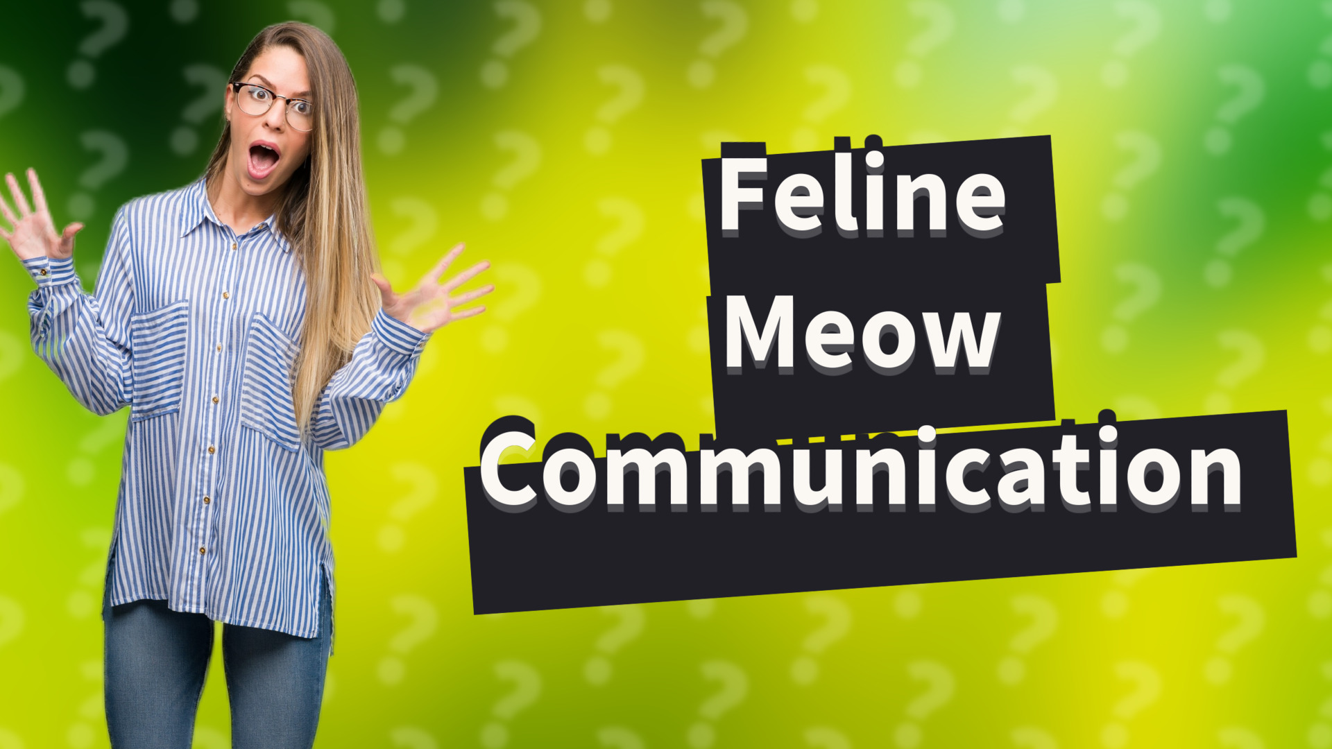 Feline Meow Communication