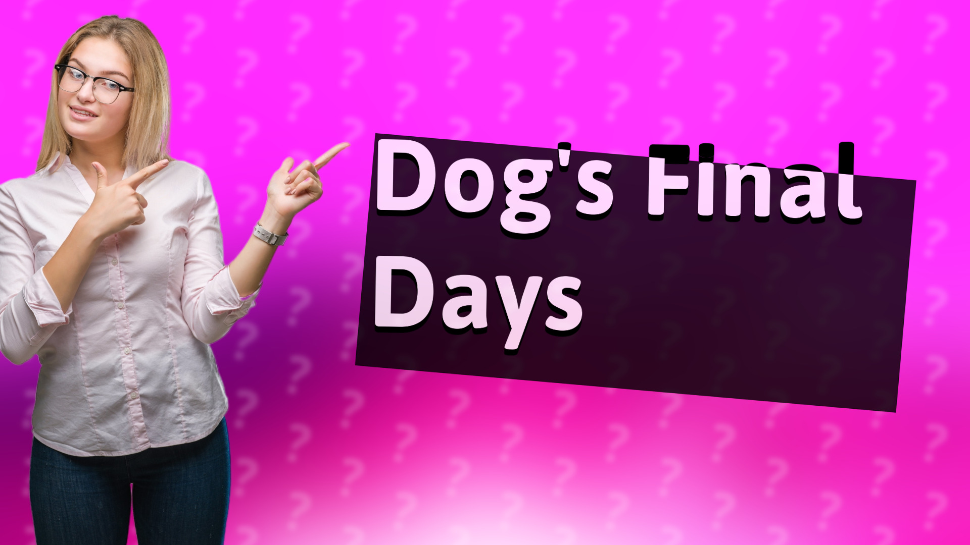Dog's Final Days