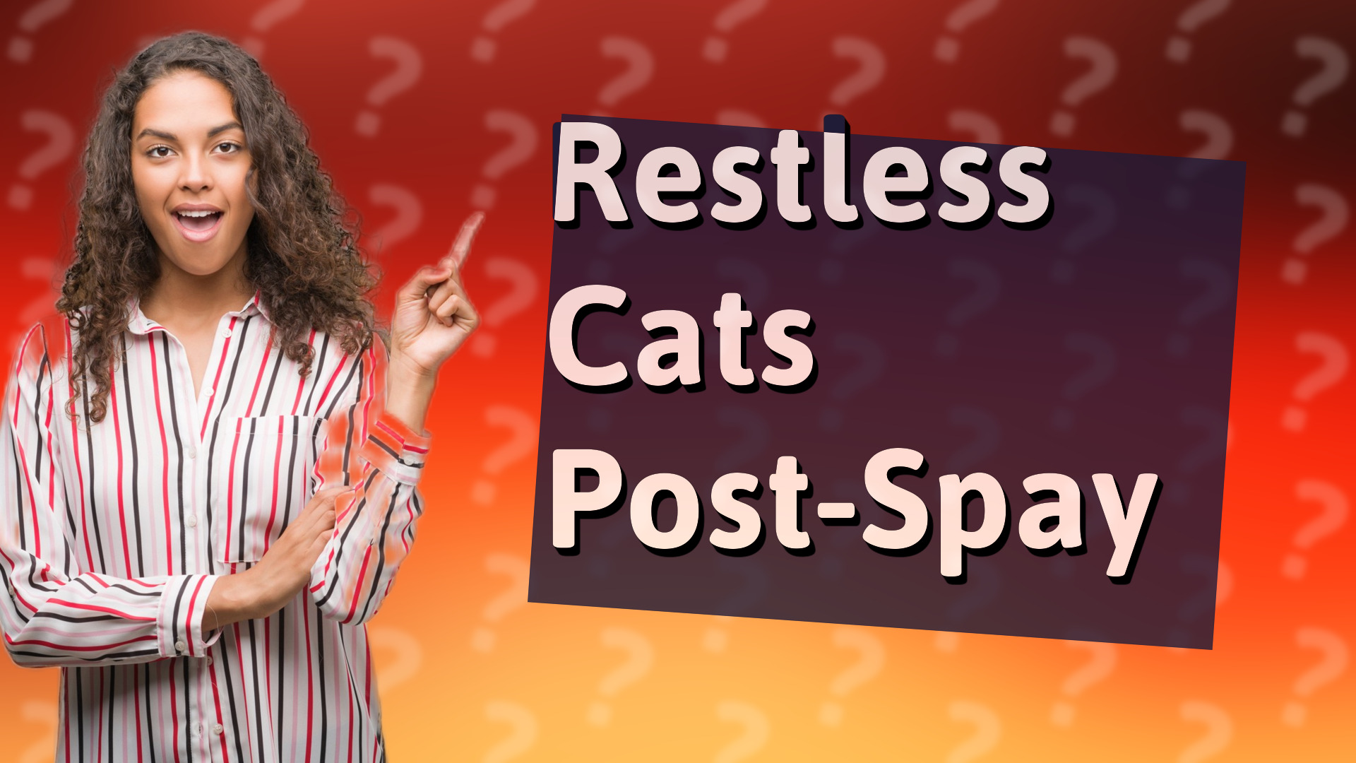 Restless Cats Post-Spay