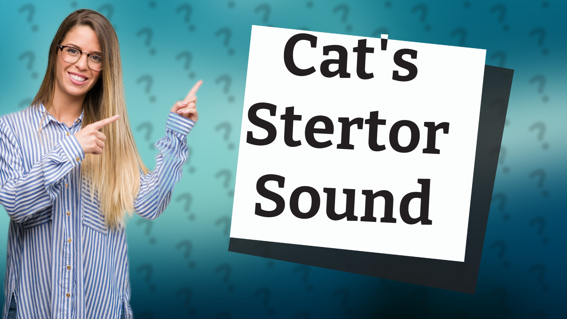 Cat's Stertor Sound