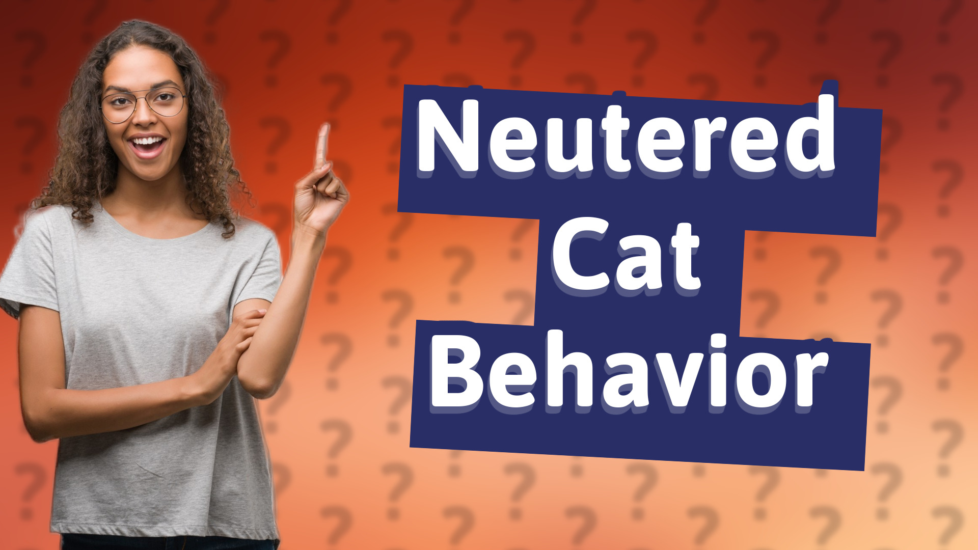 Neutered Cat Behavior