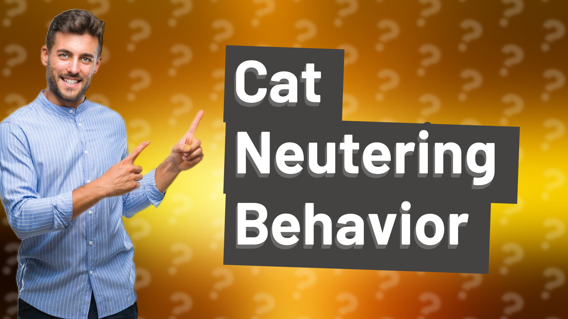 Cat Neutering Behavior