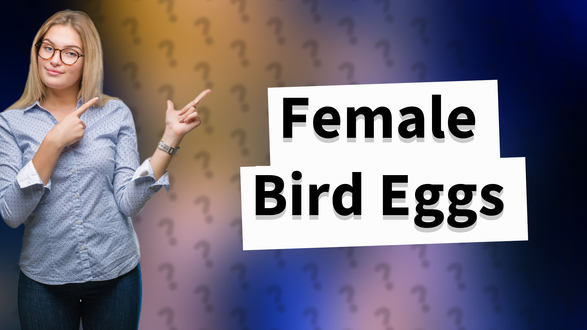 Female Bird Eggs