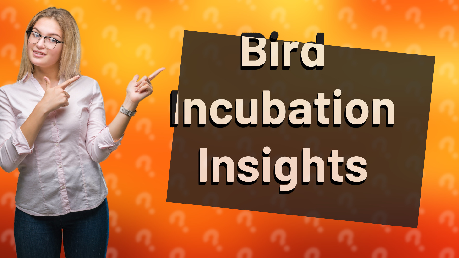 Bird Incubation Insights