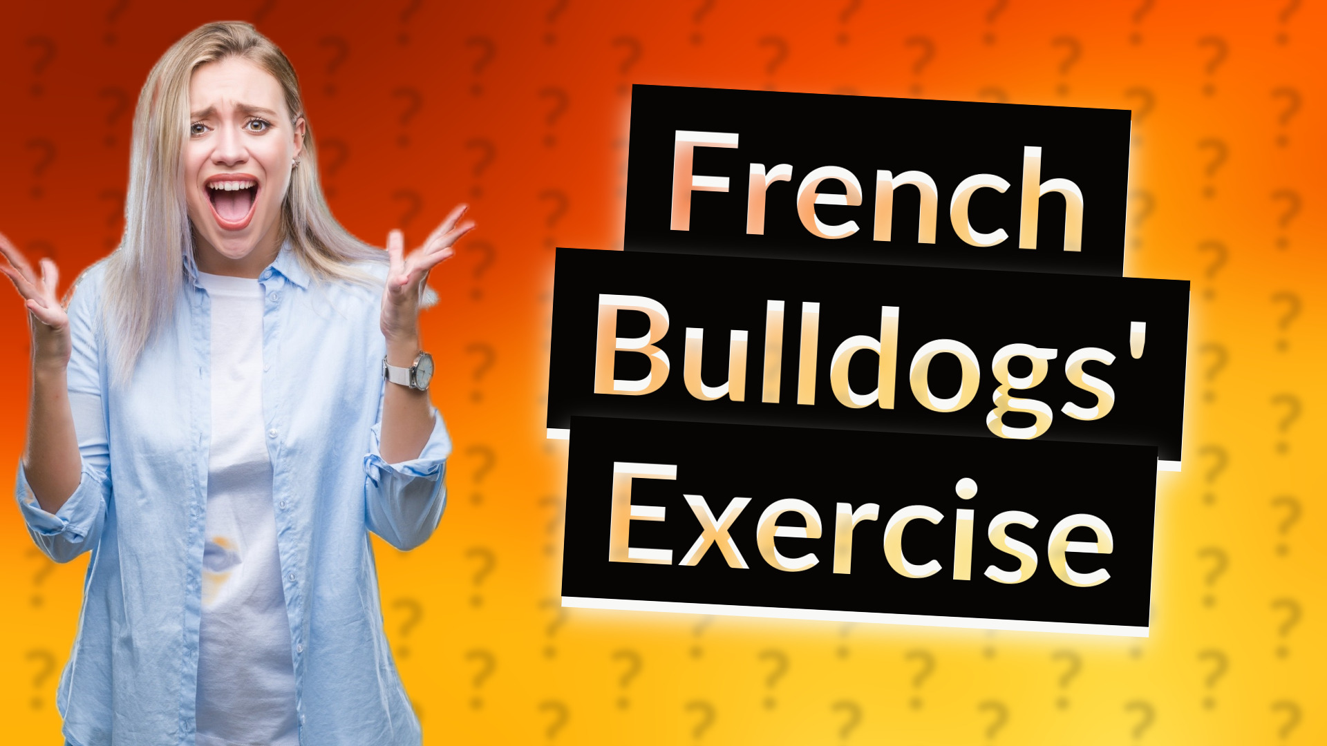 French Bulldogs' Exercise