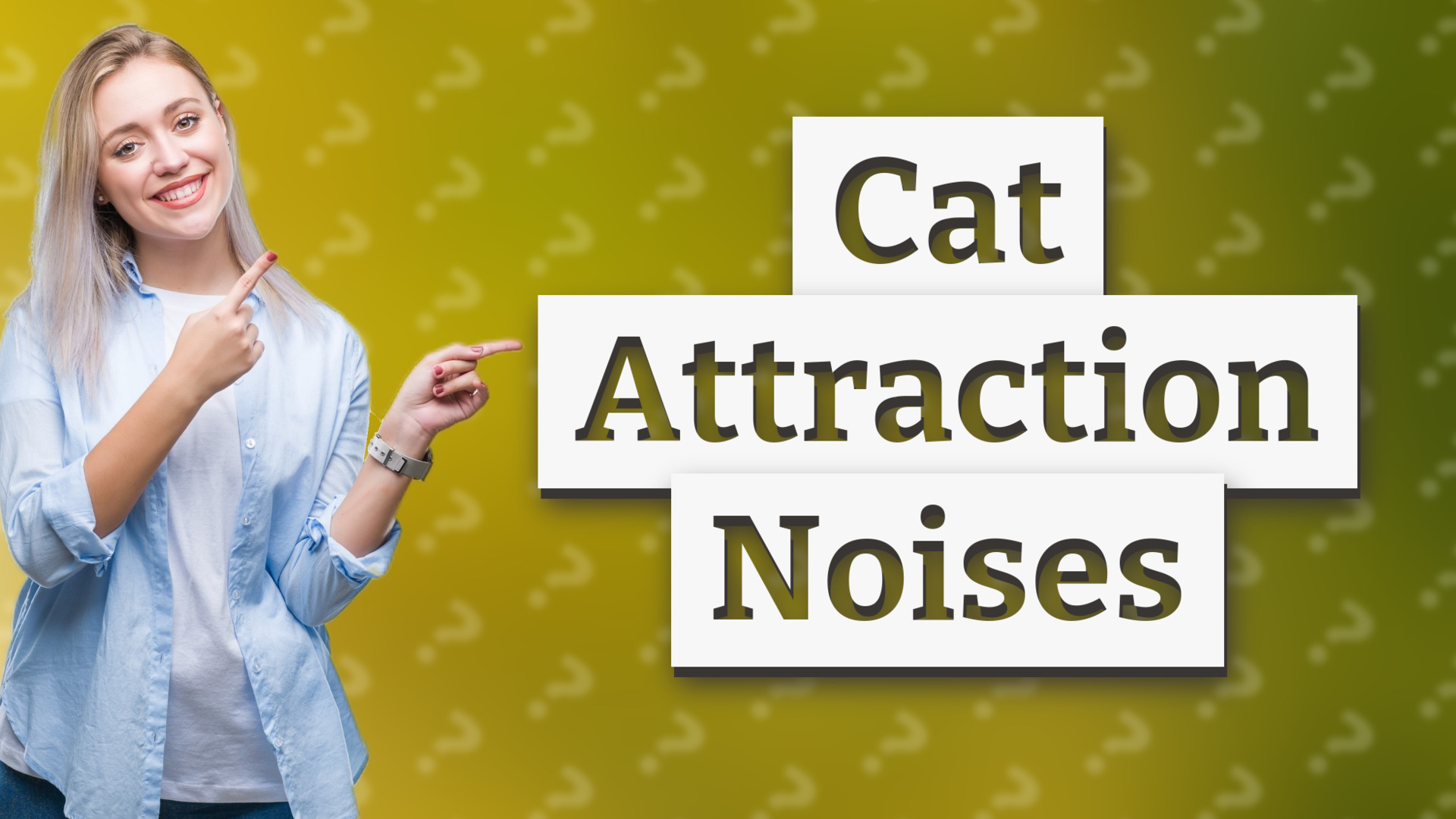 Cat Attraction Noises