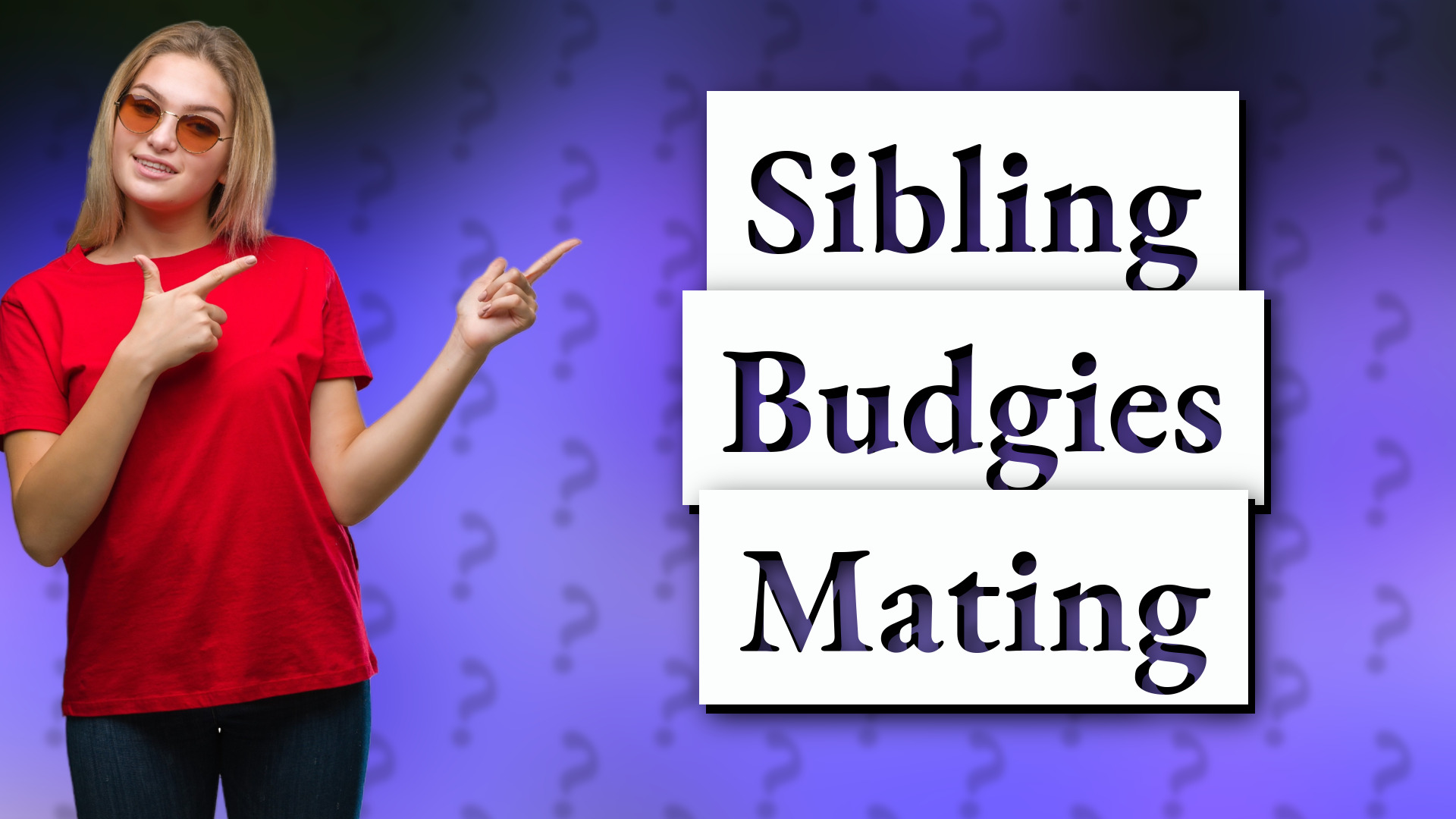 Sibling Budgies Mating