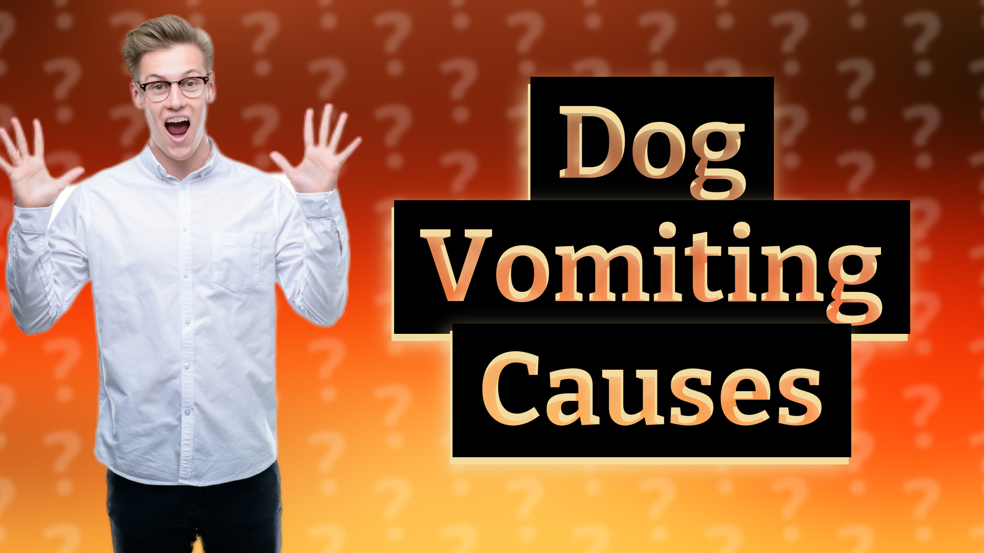 Dog Vomiting Causes