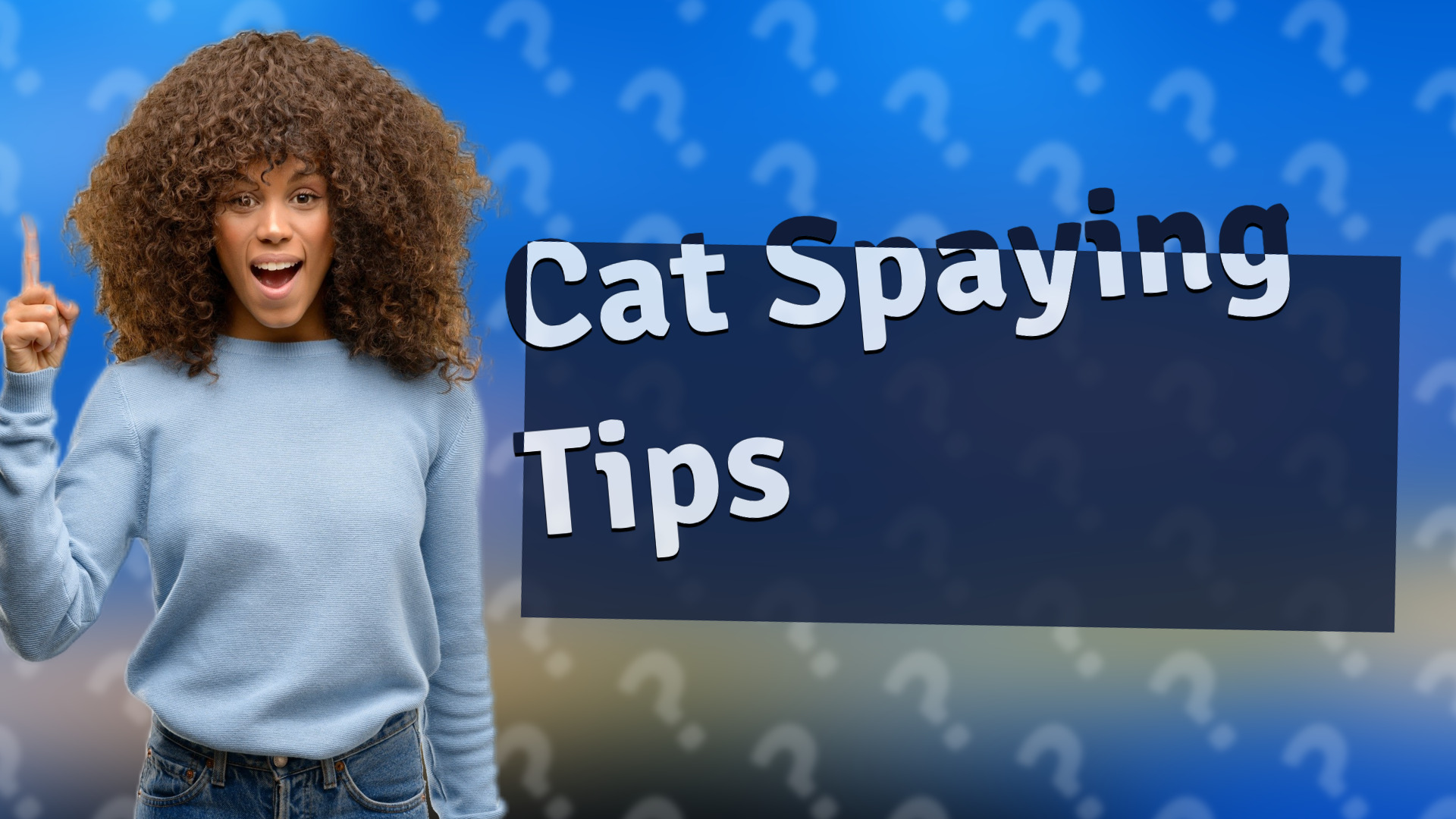 Cat Spaying Tips