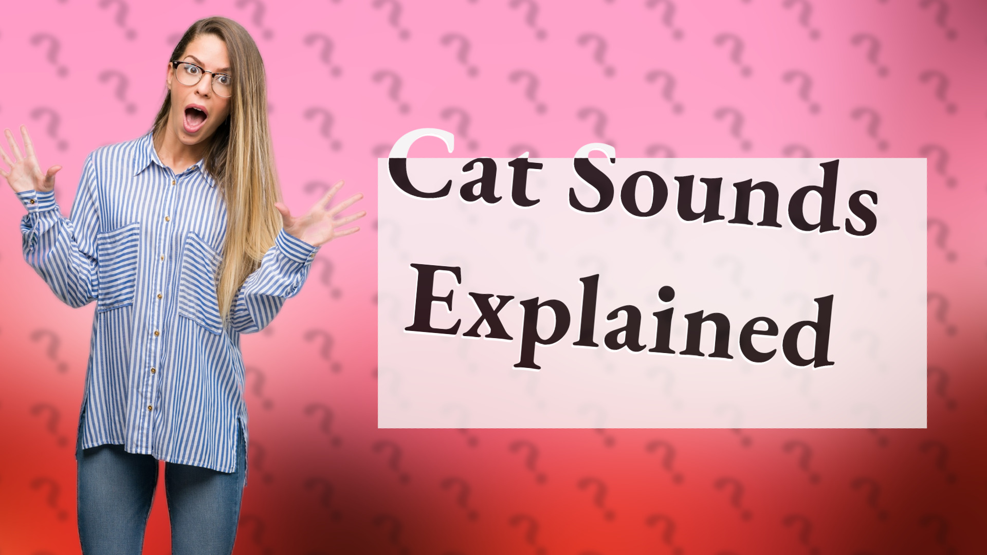 Cat Sounds Explained