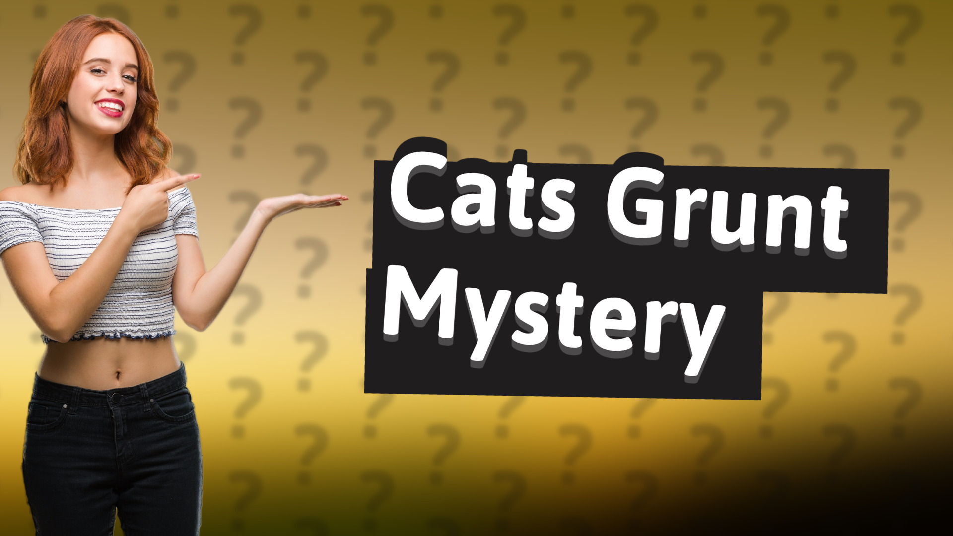Cats Grunt Mystery