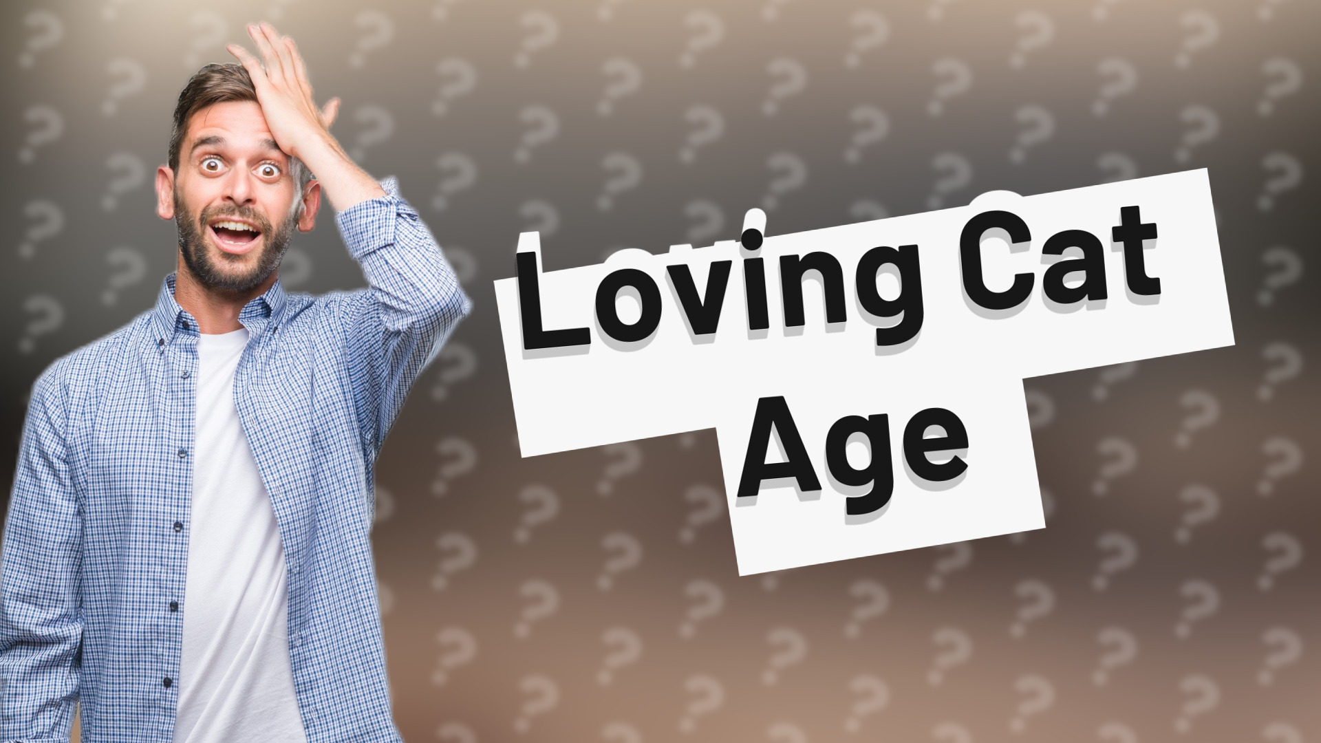 Loving Cat Age